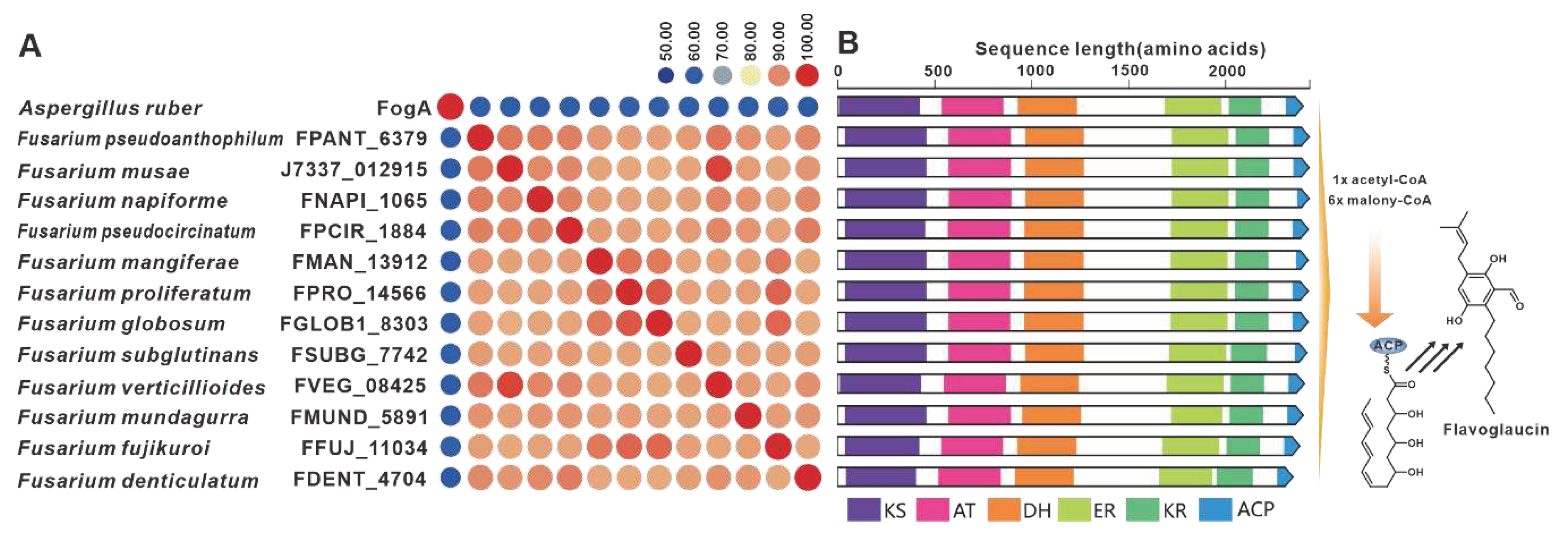 Preprints 79469 g017