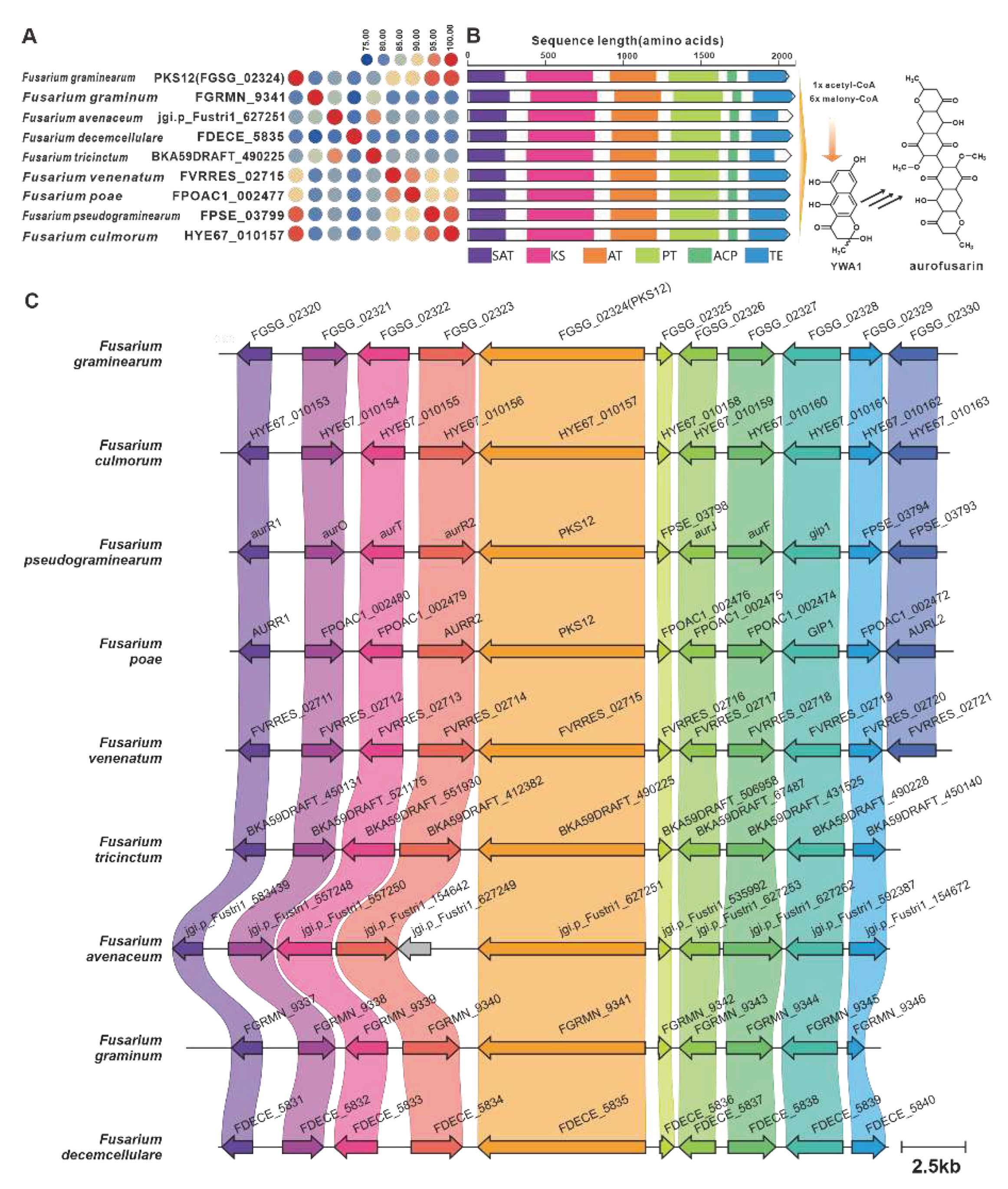 Preprints 79469 g018