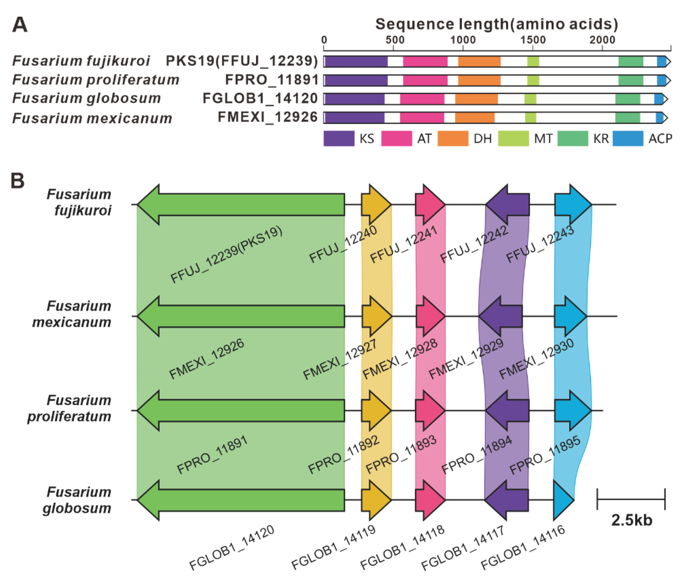 Preprints 79469 g019