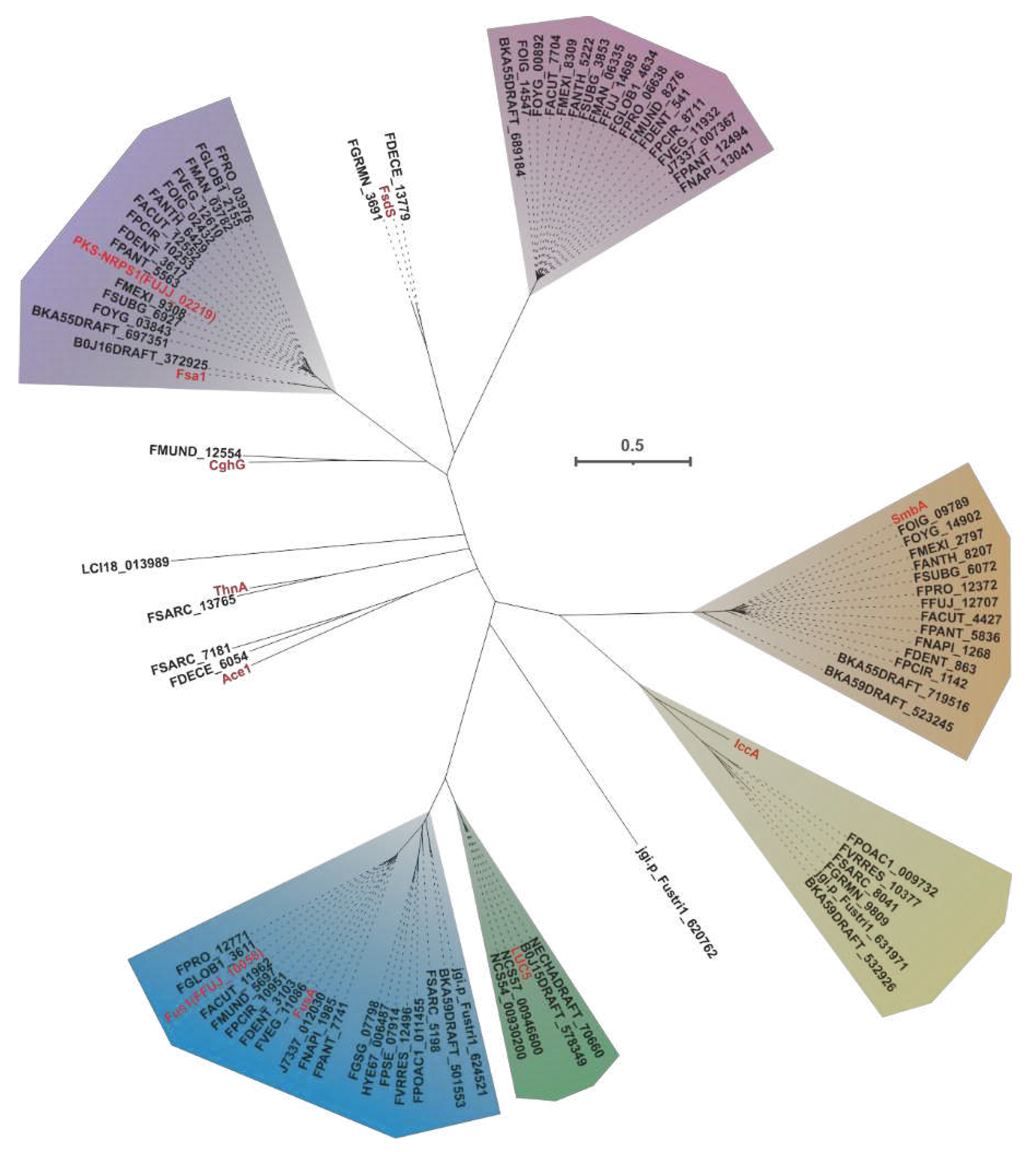 Preprints 79469 g020