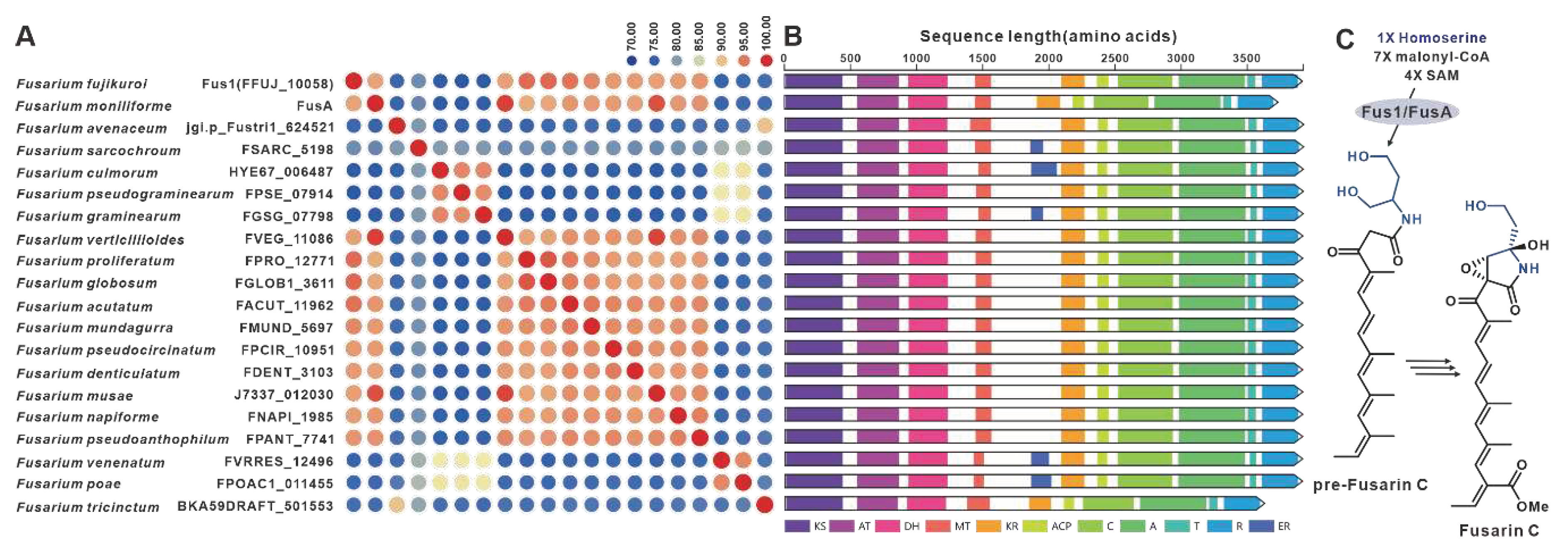 Preprints 79469 g021