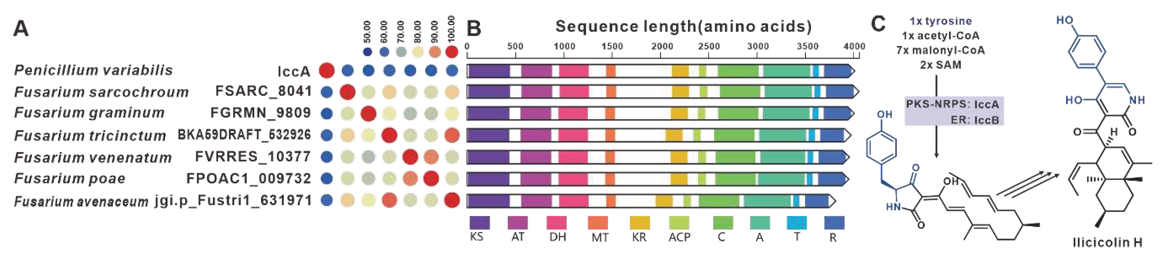 Preprints 79469 g025