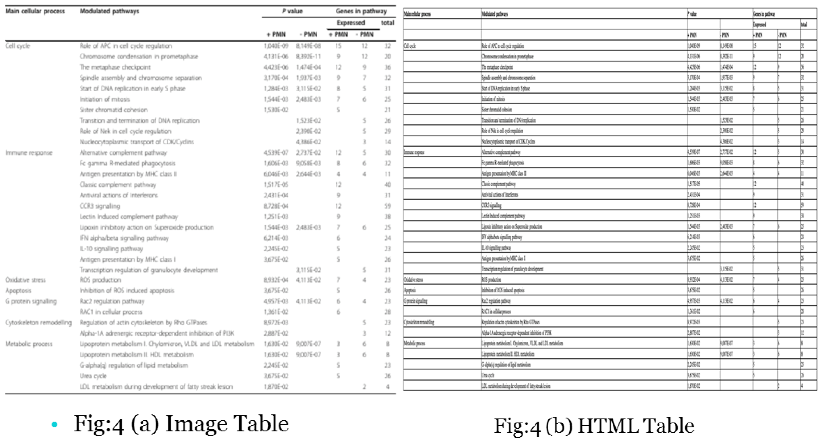 Preprints 114077 g004