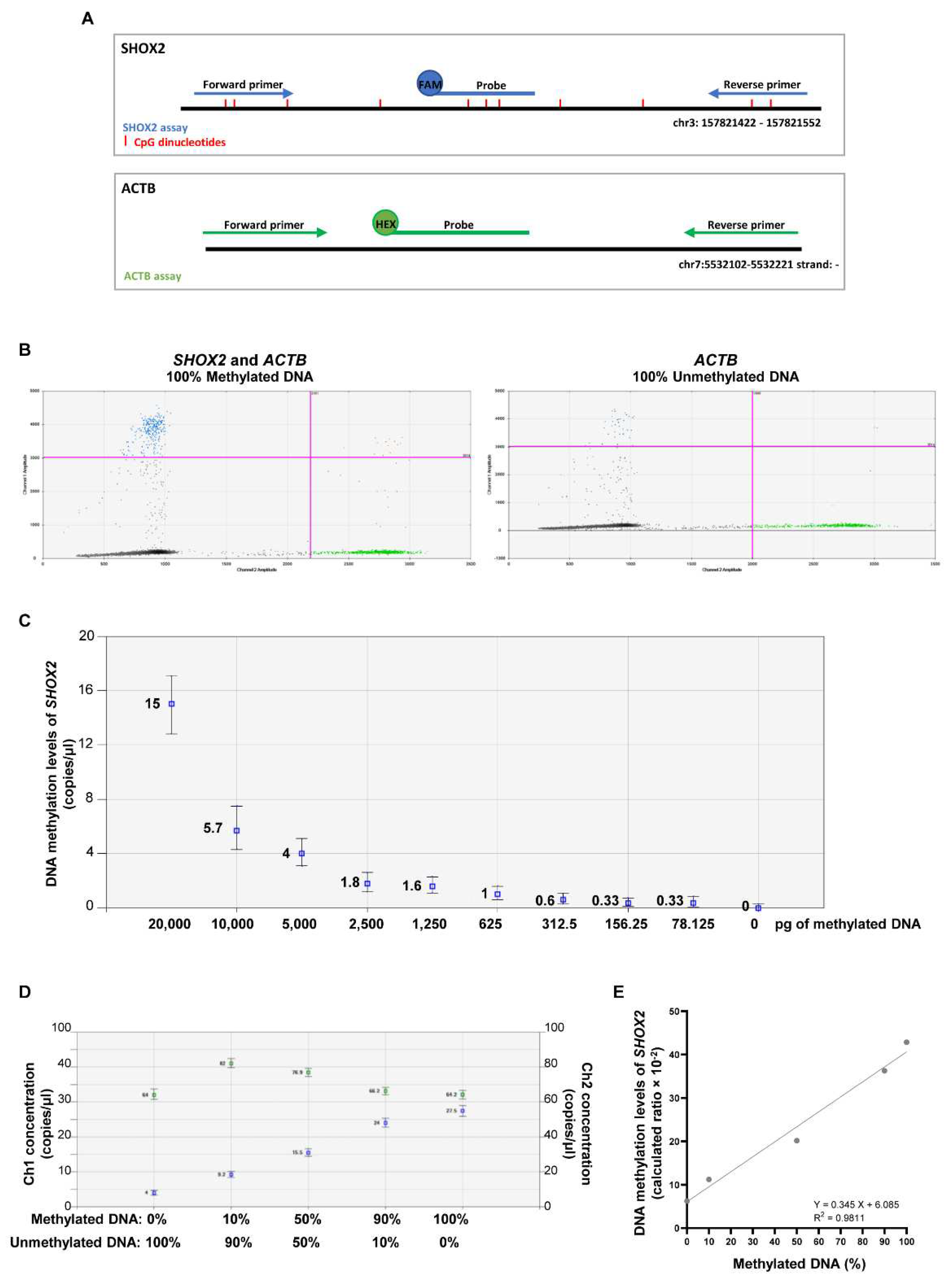 Preprints 72800 g002