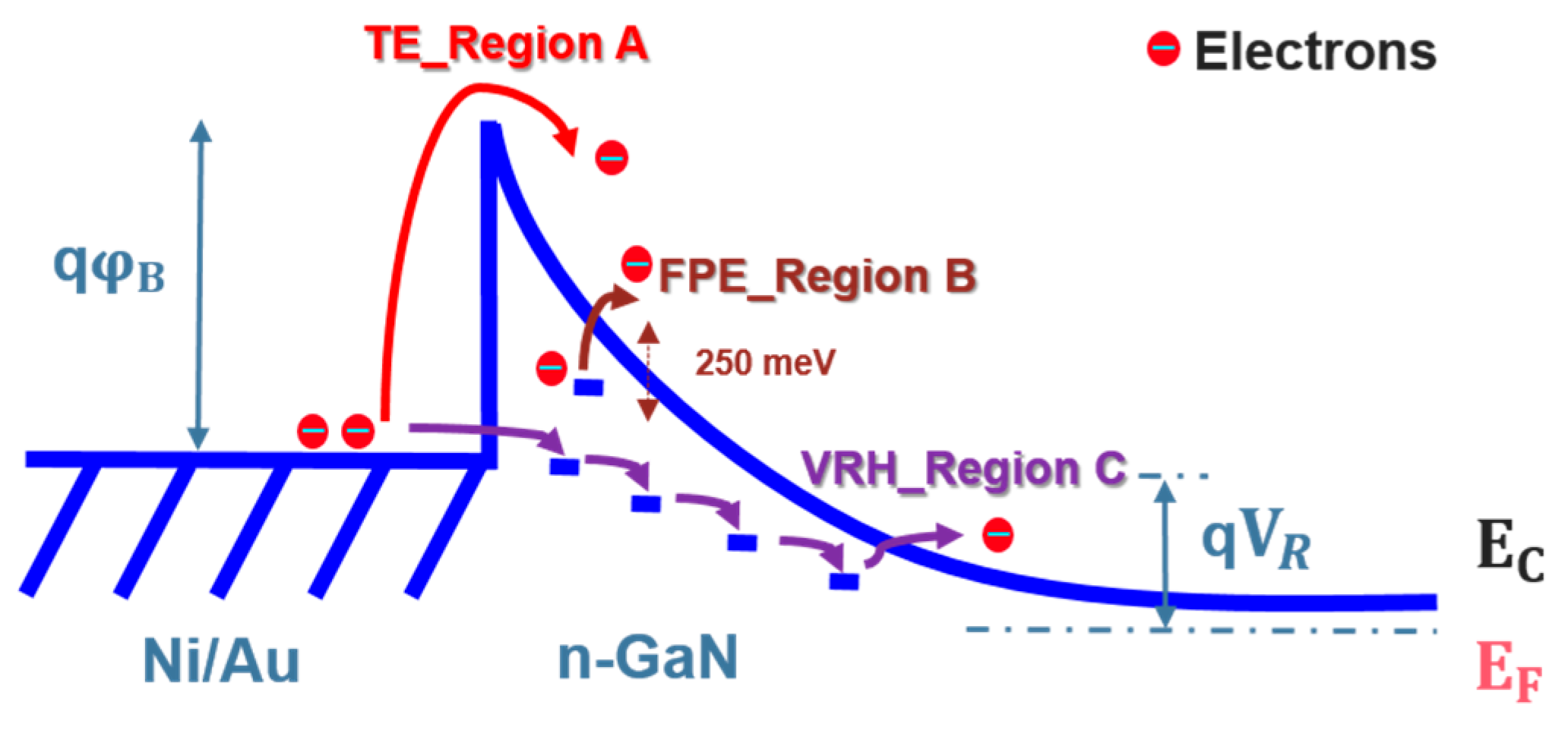 Preprints 107308 g014