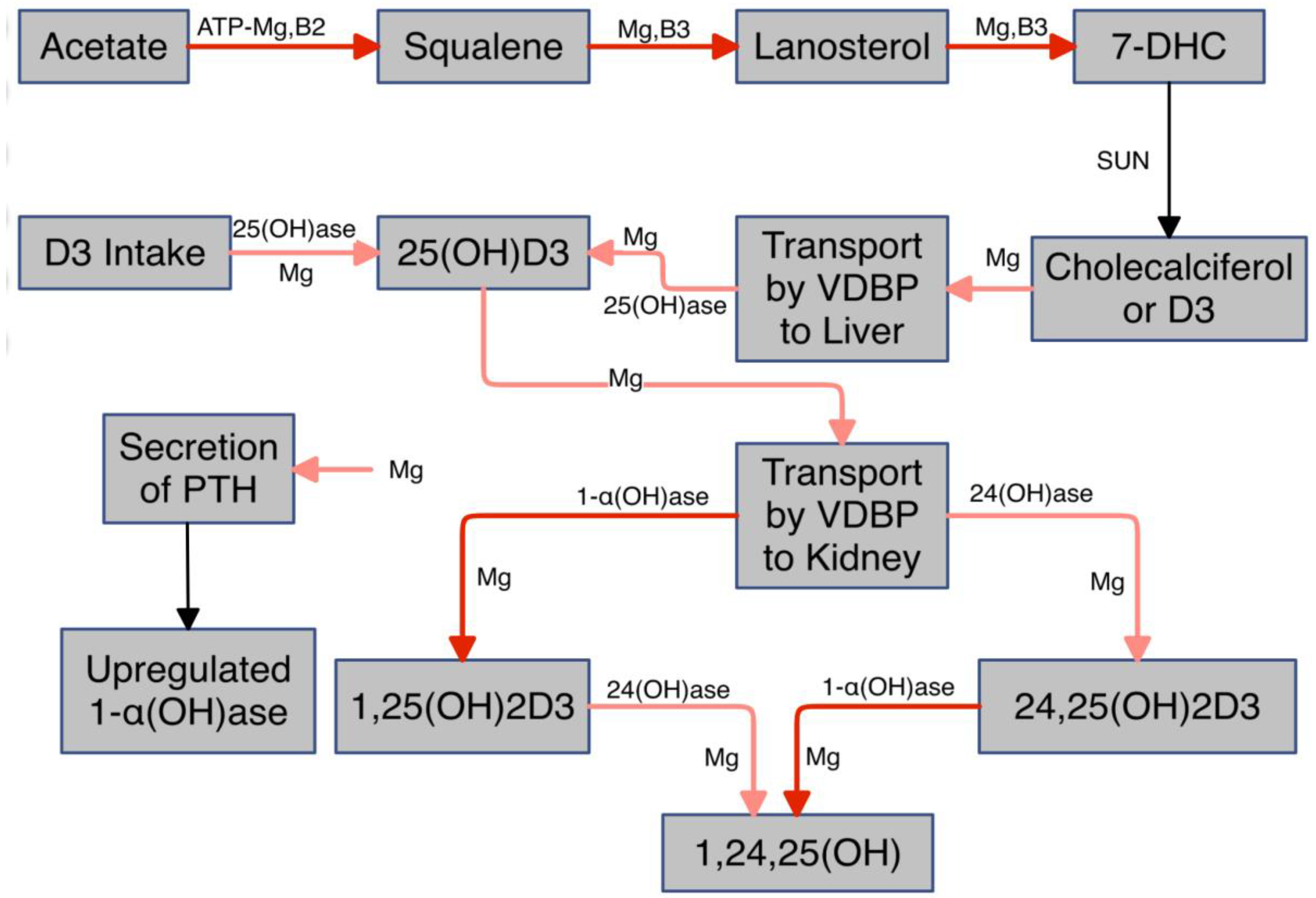 Preprints 138235 g002