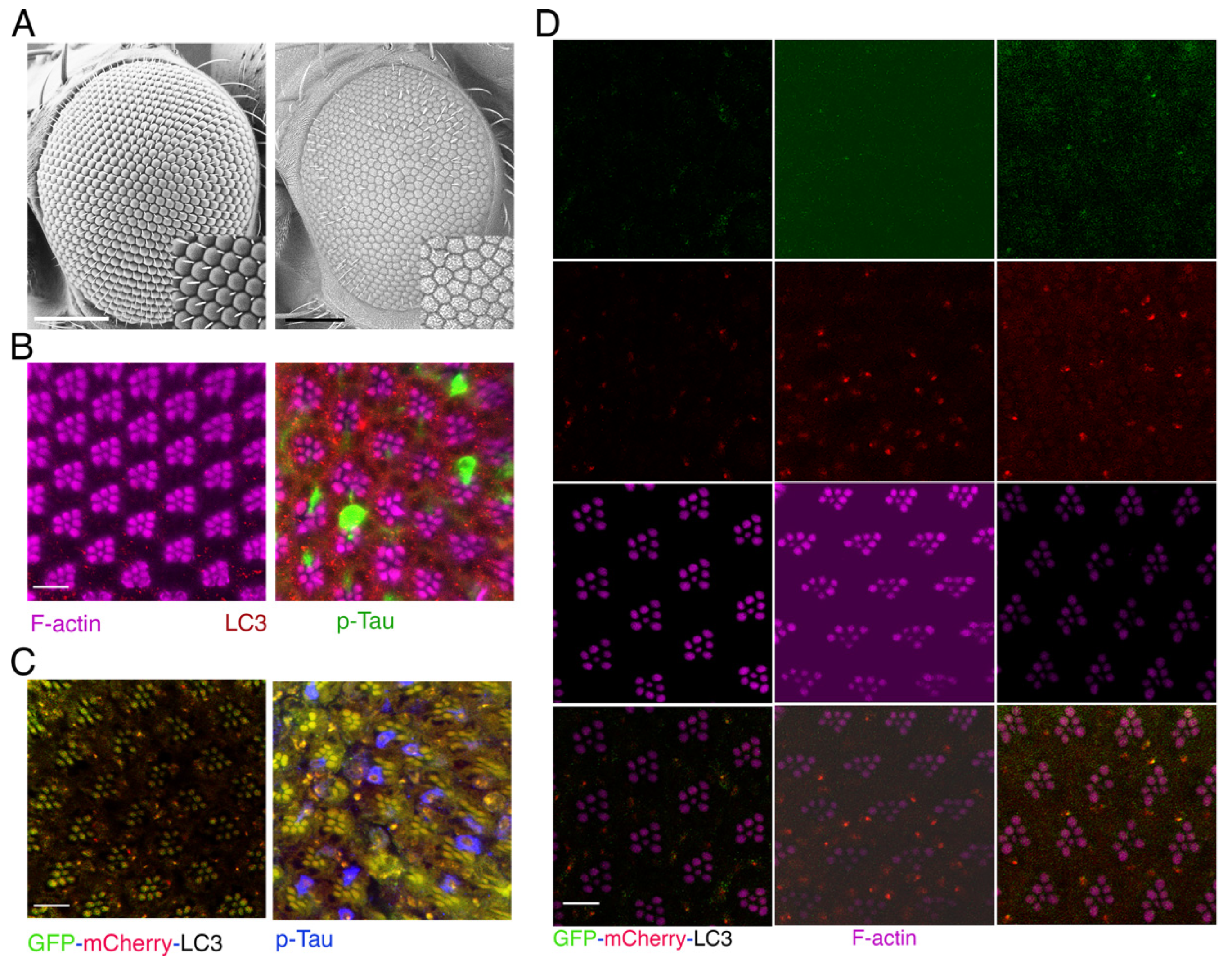 Preprints 99267 g001