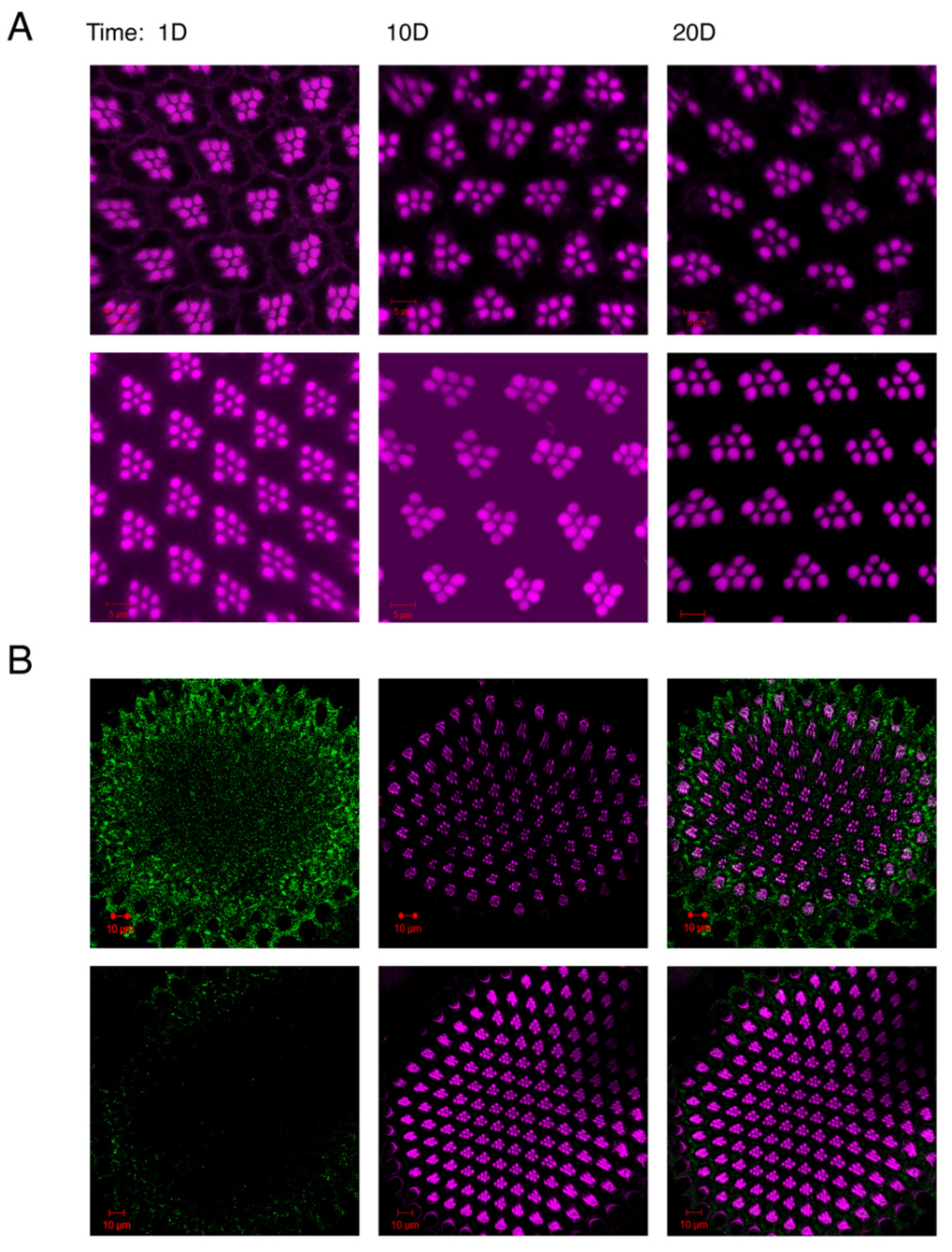 Preprints 99267 g003