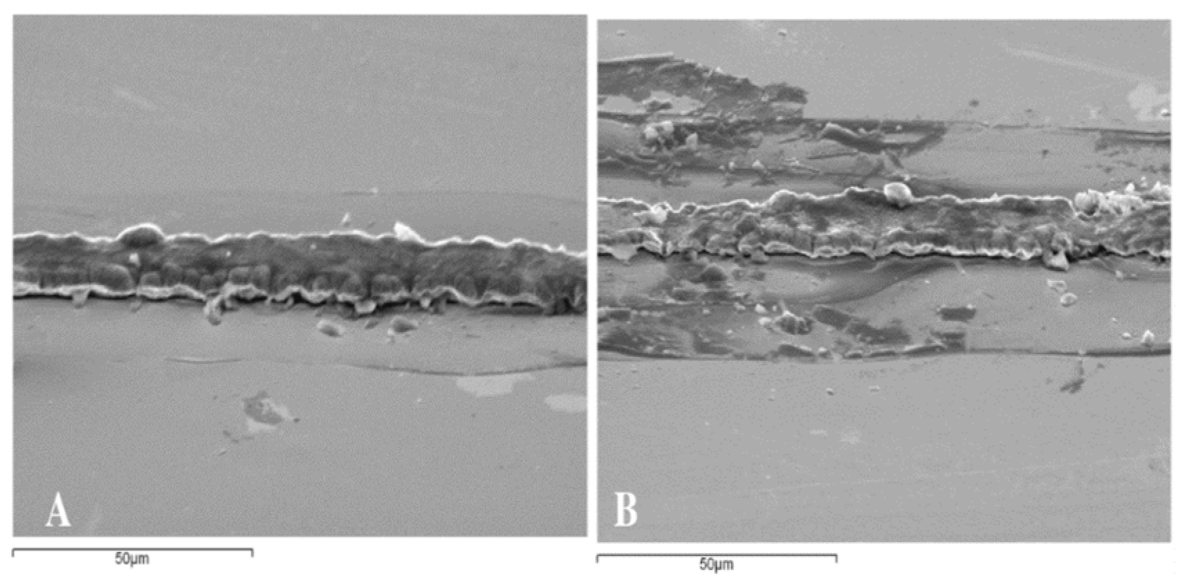 Preprints 86273 g004a