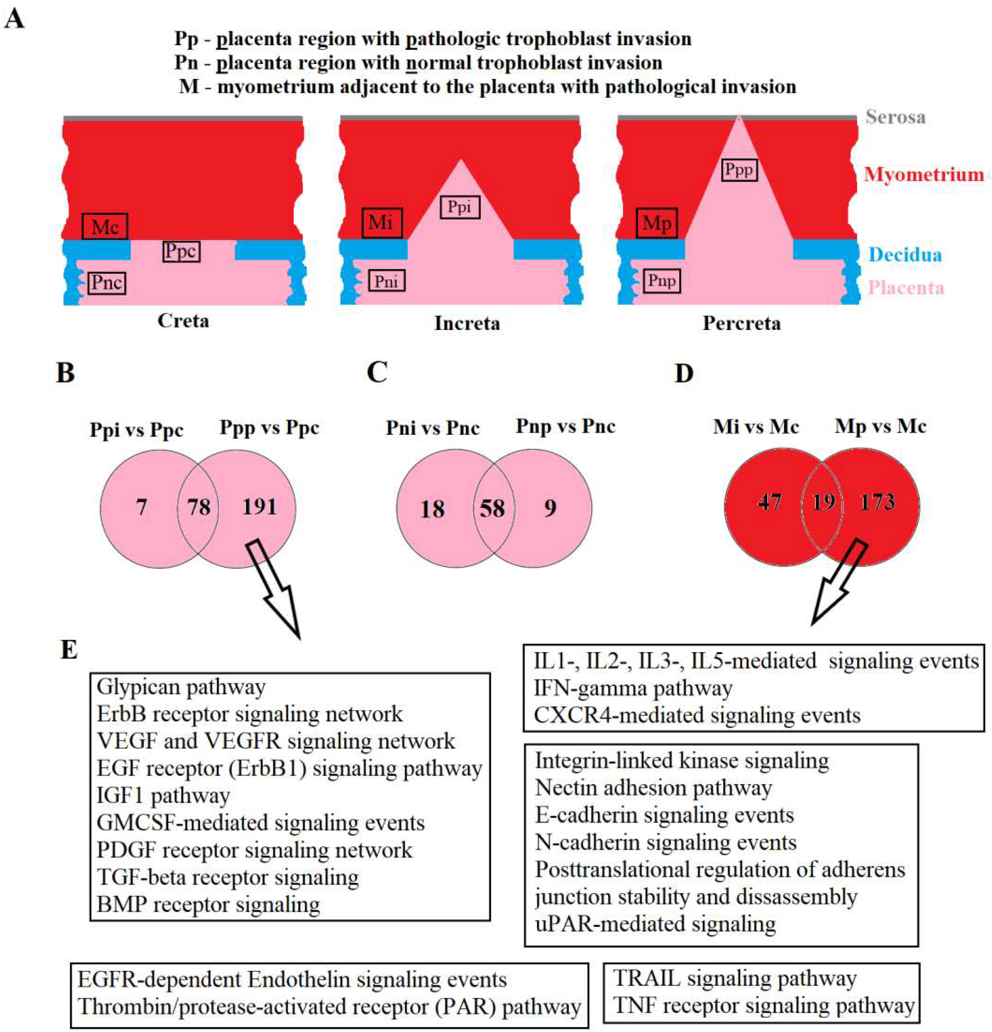 Preprints 92823 g001