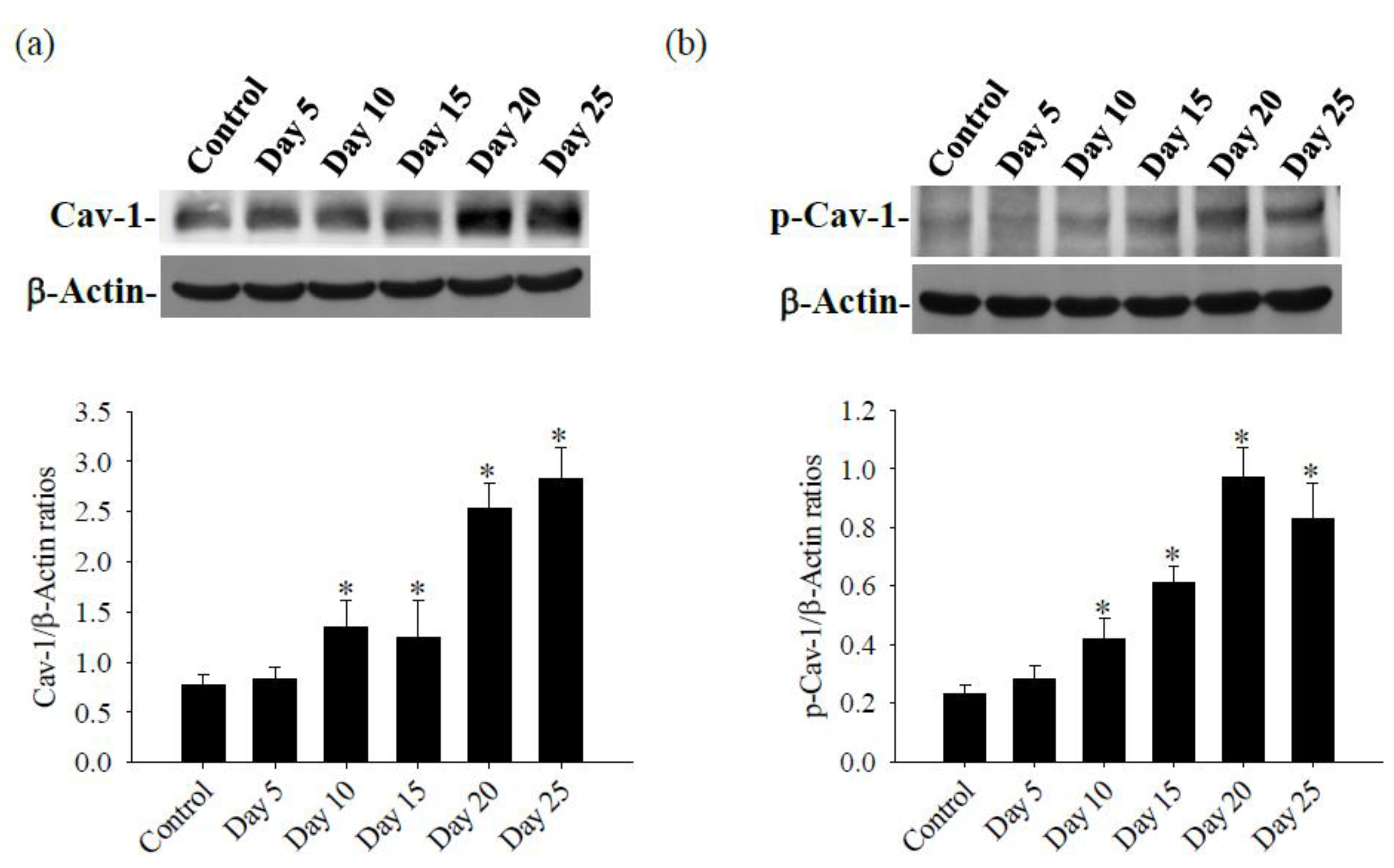 Preprints 103568 g004