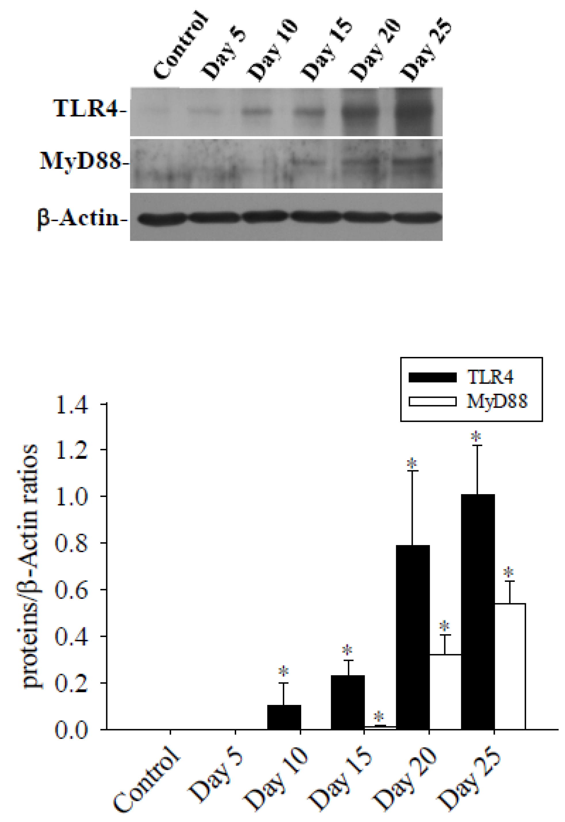 Preprints 103568 g006