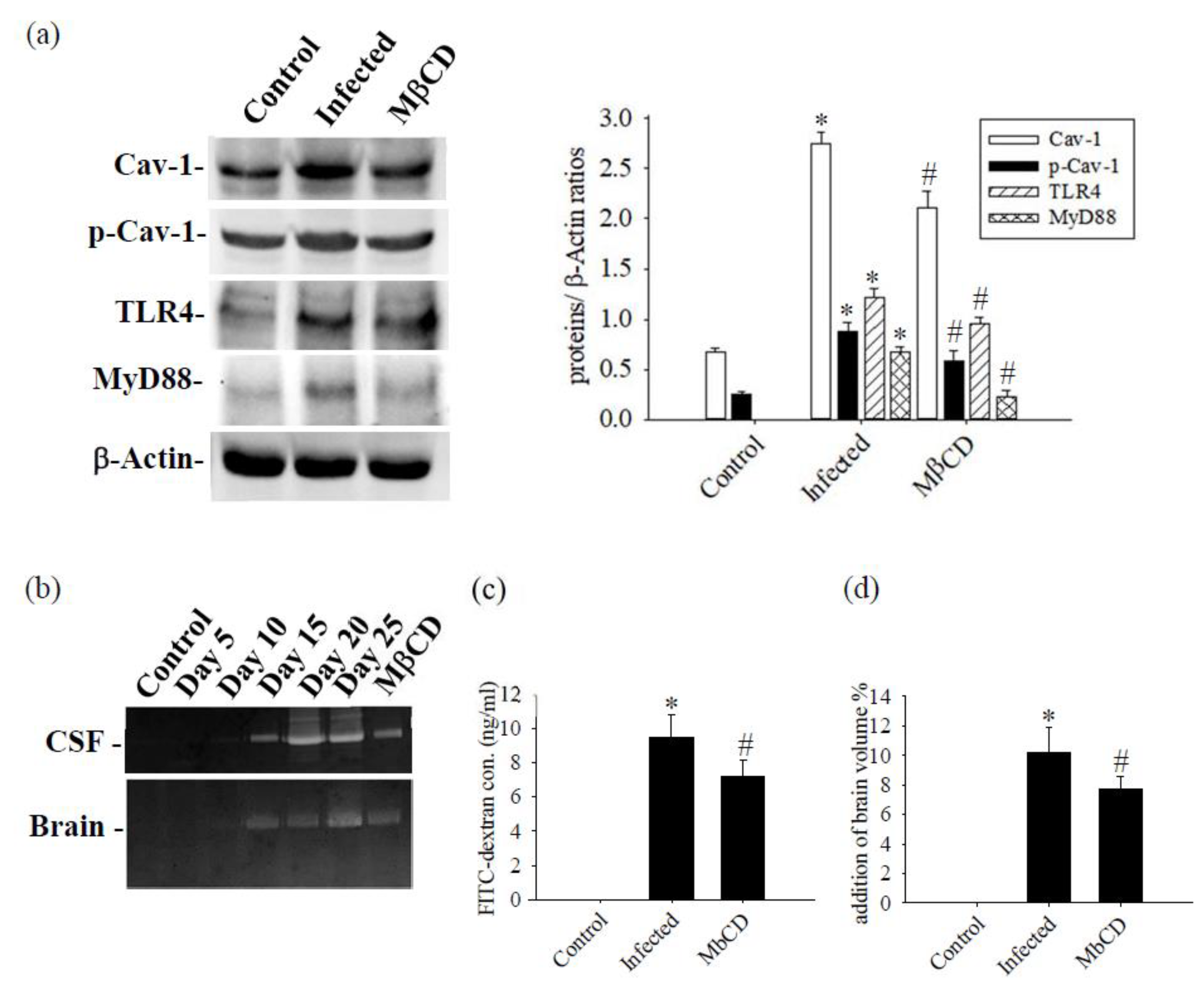 Preprints 103568 g007