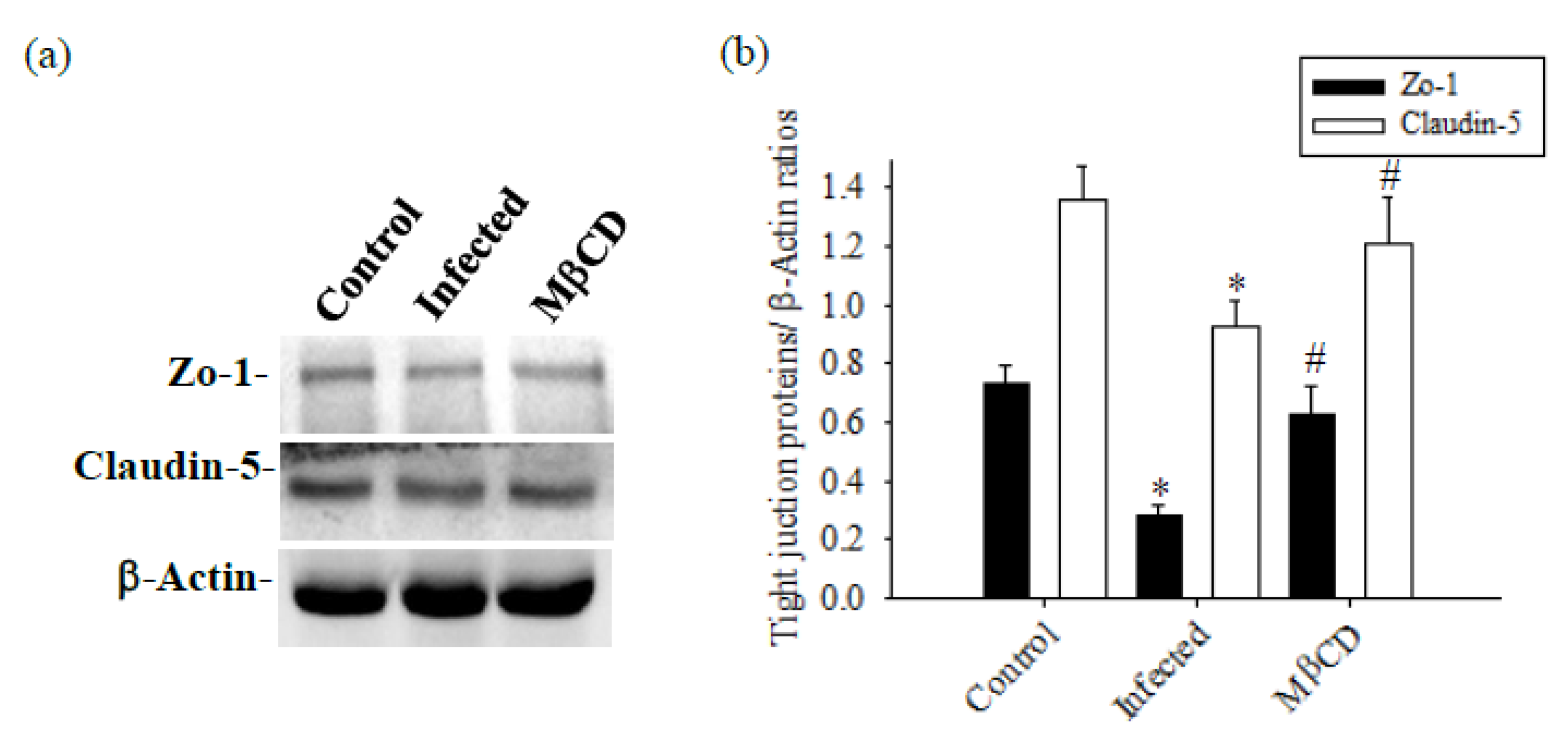 Preprints 103568 g008