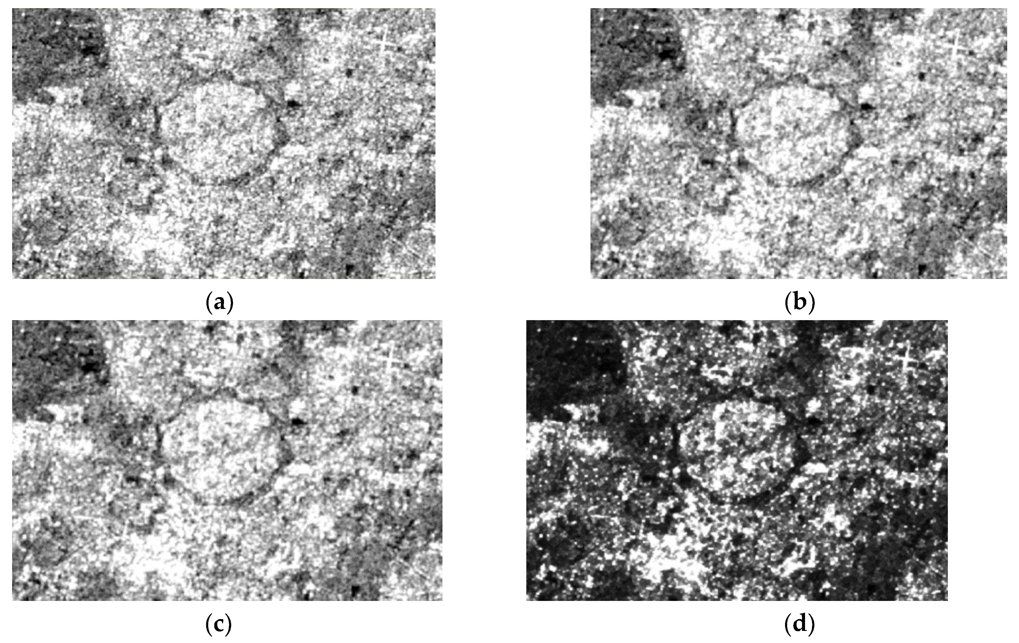 Preprints 69160 g004a