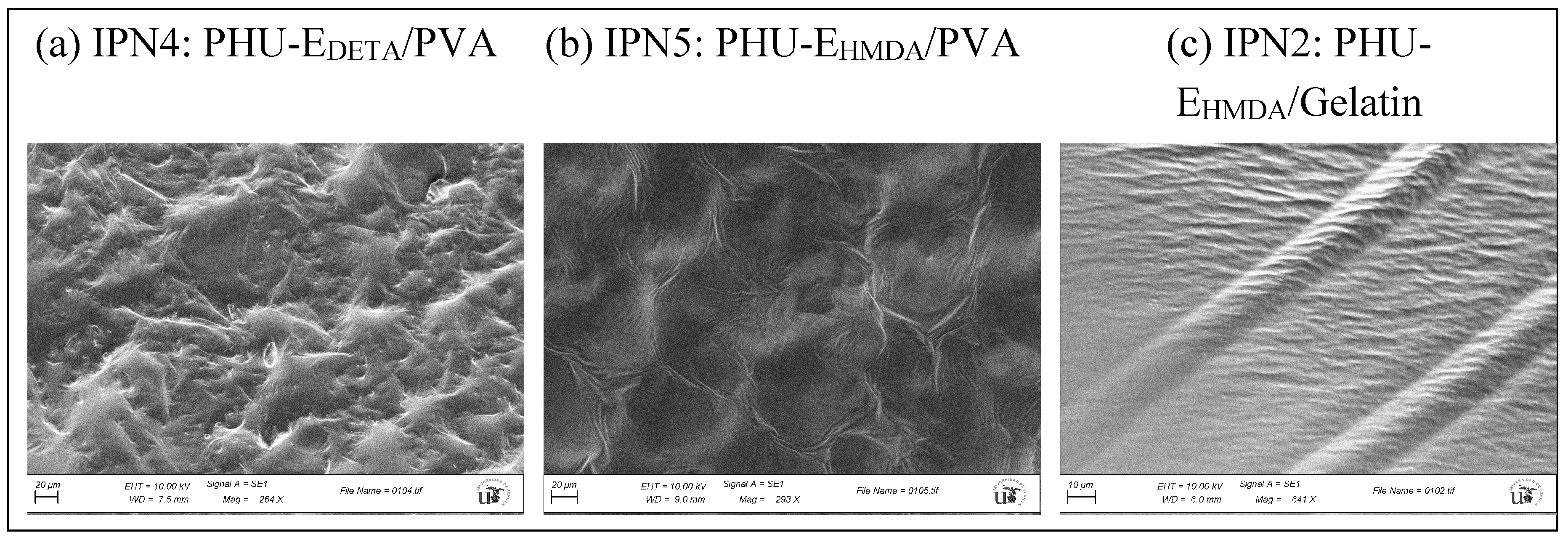 Preprints 99980 g010