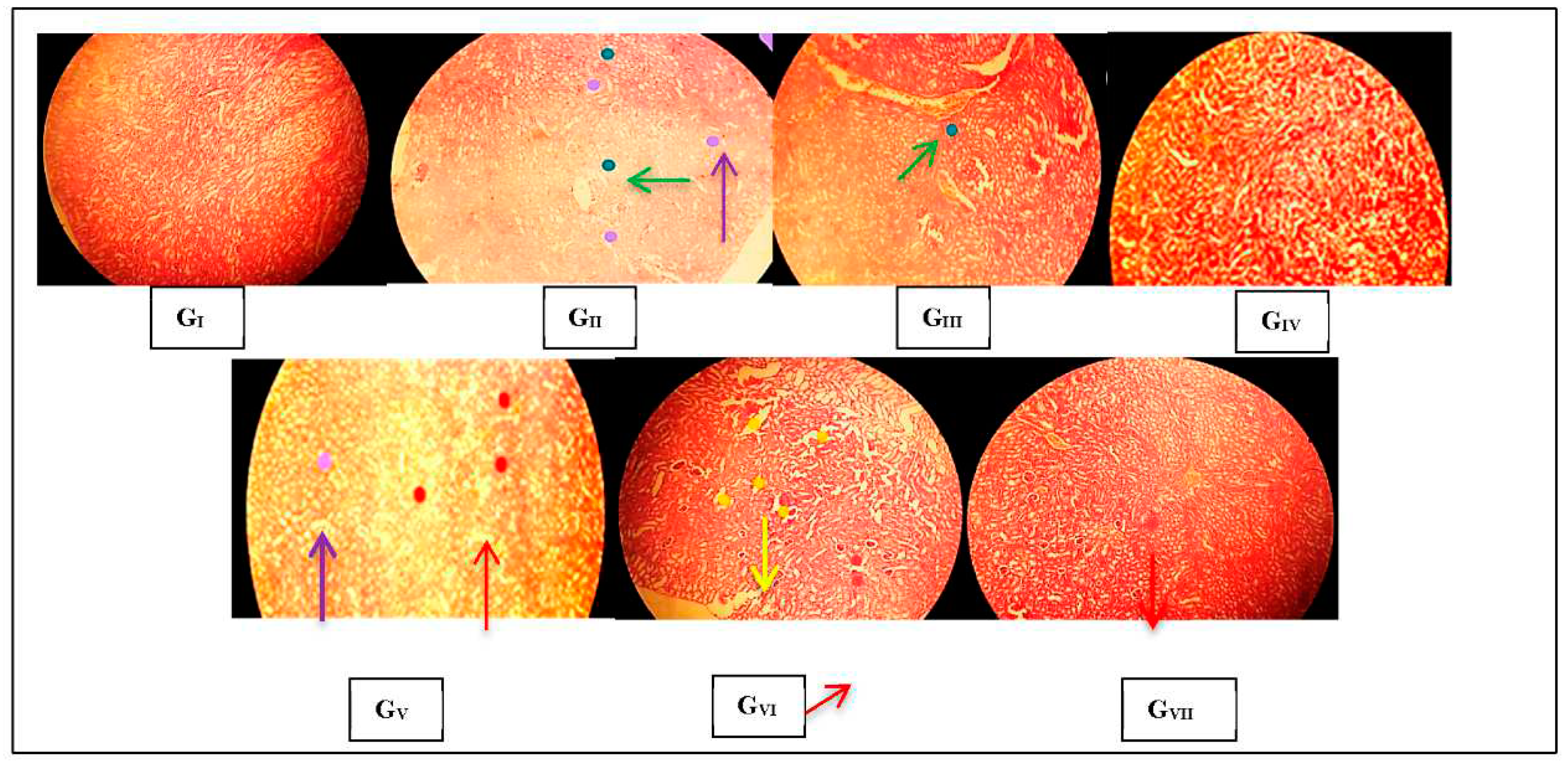 Preprints 81690 g002