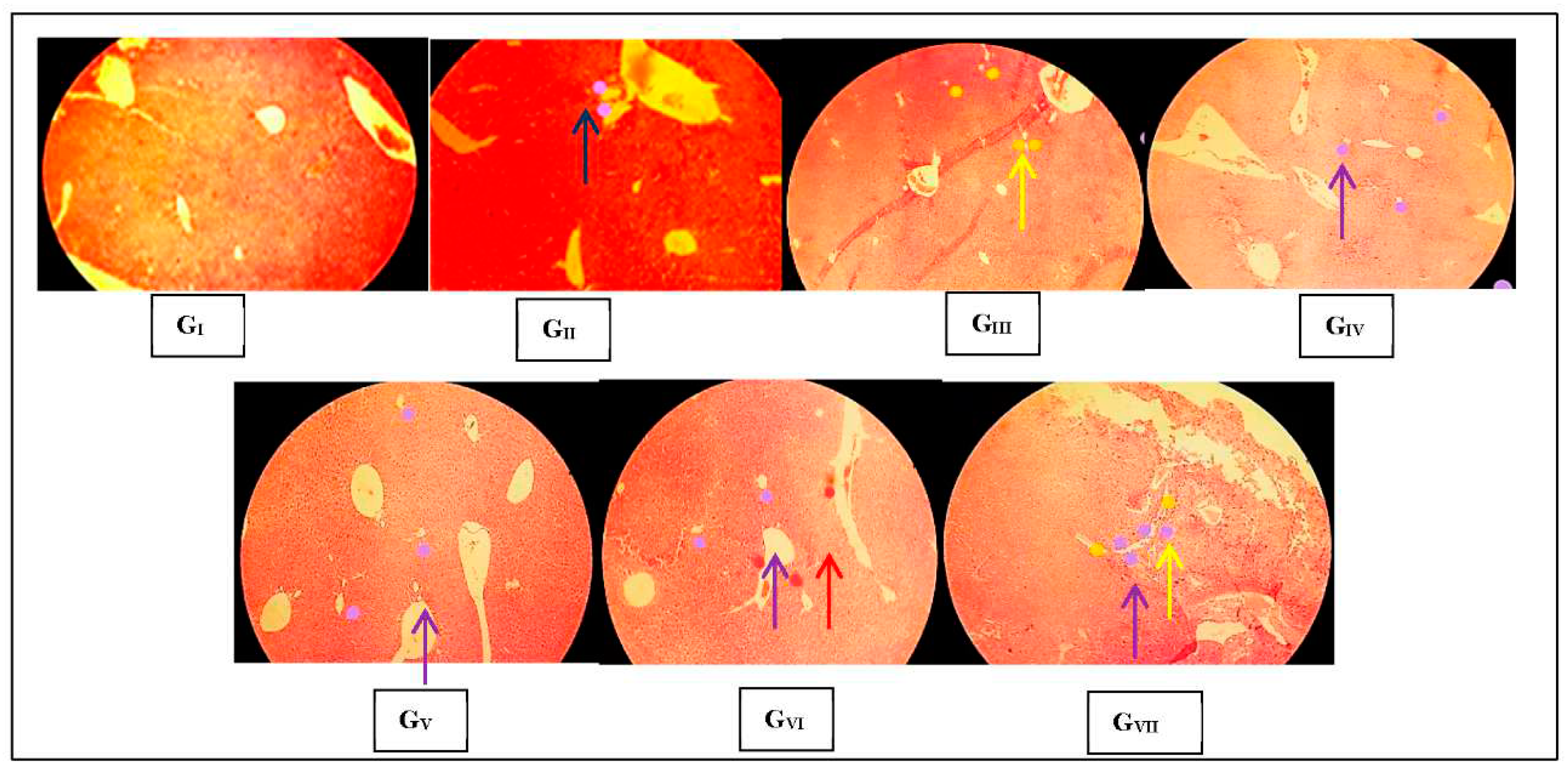 Preprints 81690 g003