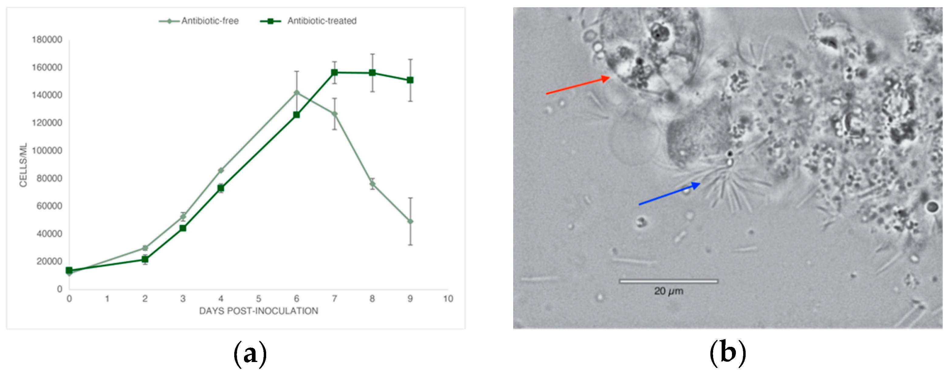 Preprints 110249 g001