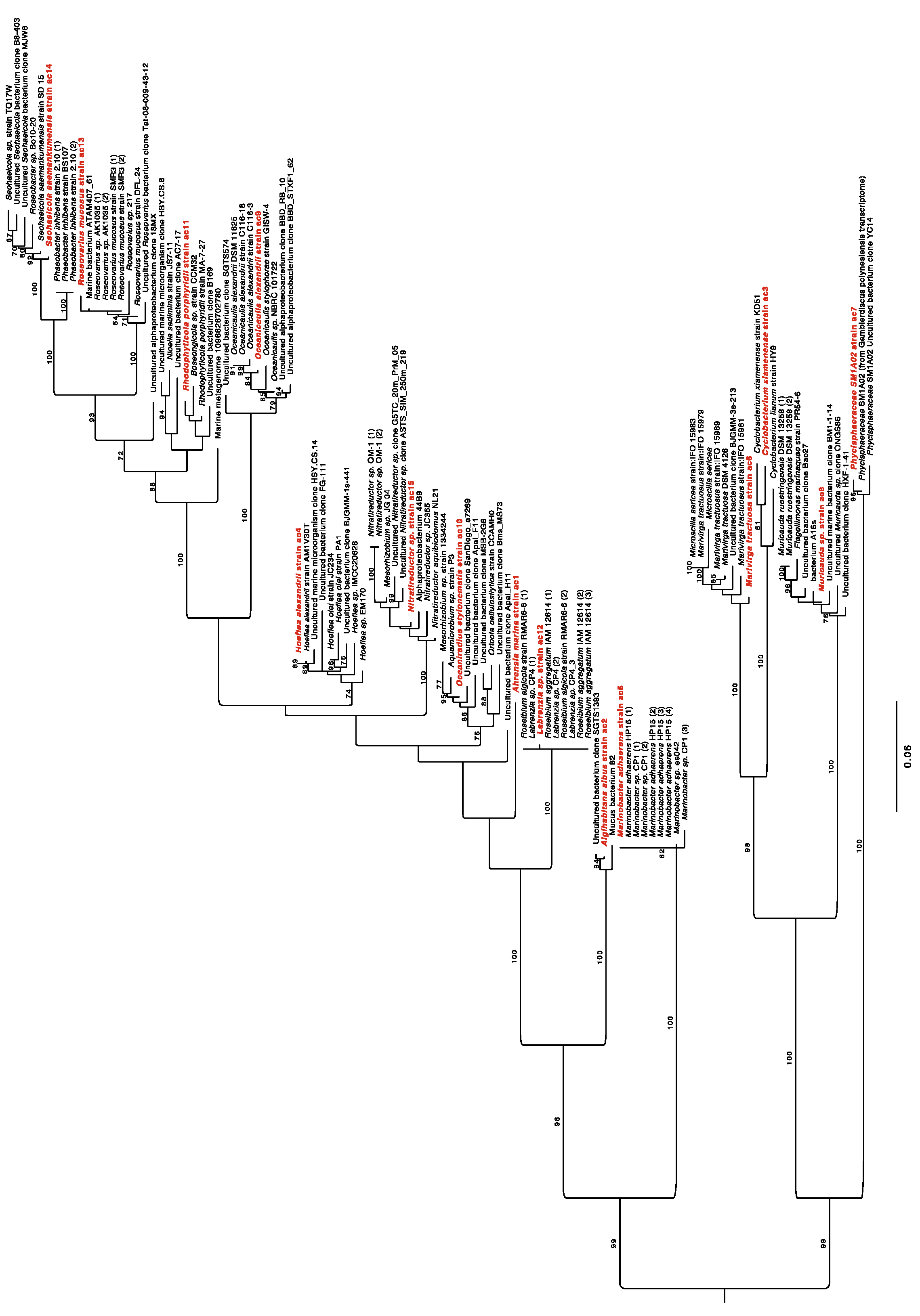 Preprints 110249 g0a1