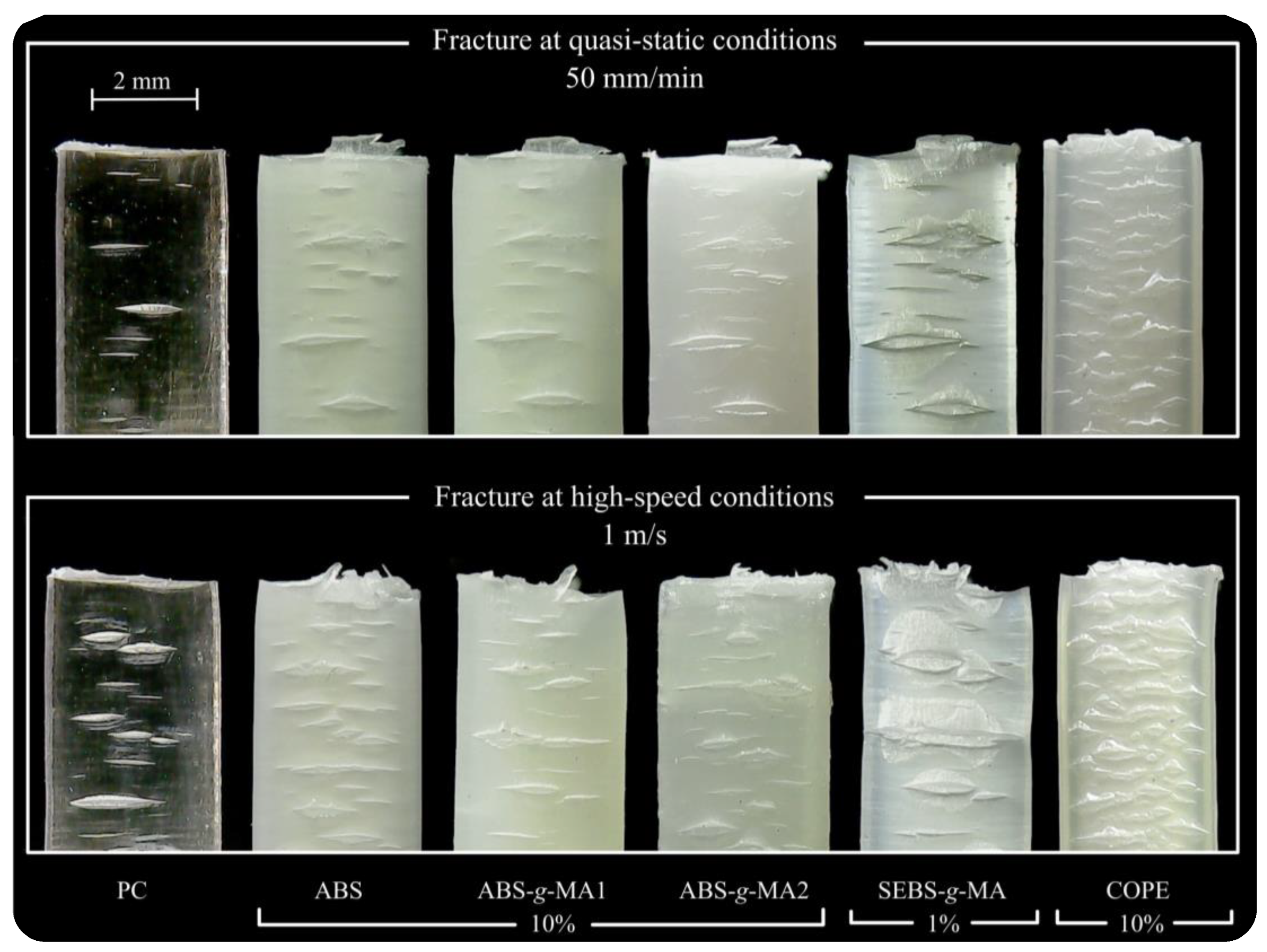 Preprints 108099 g006