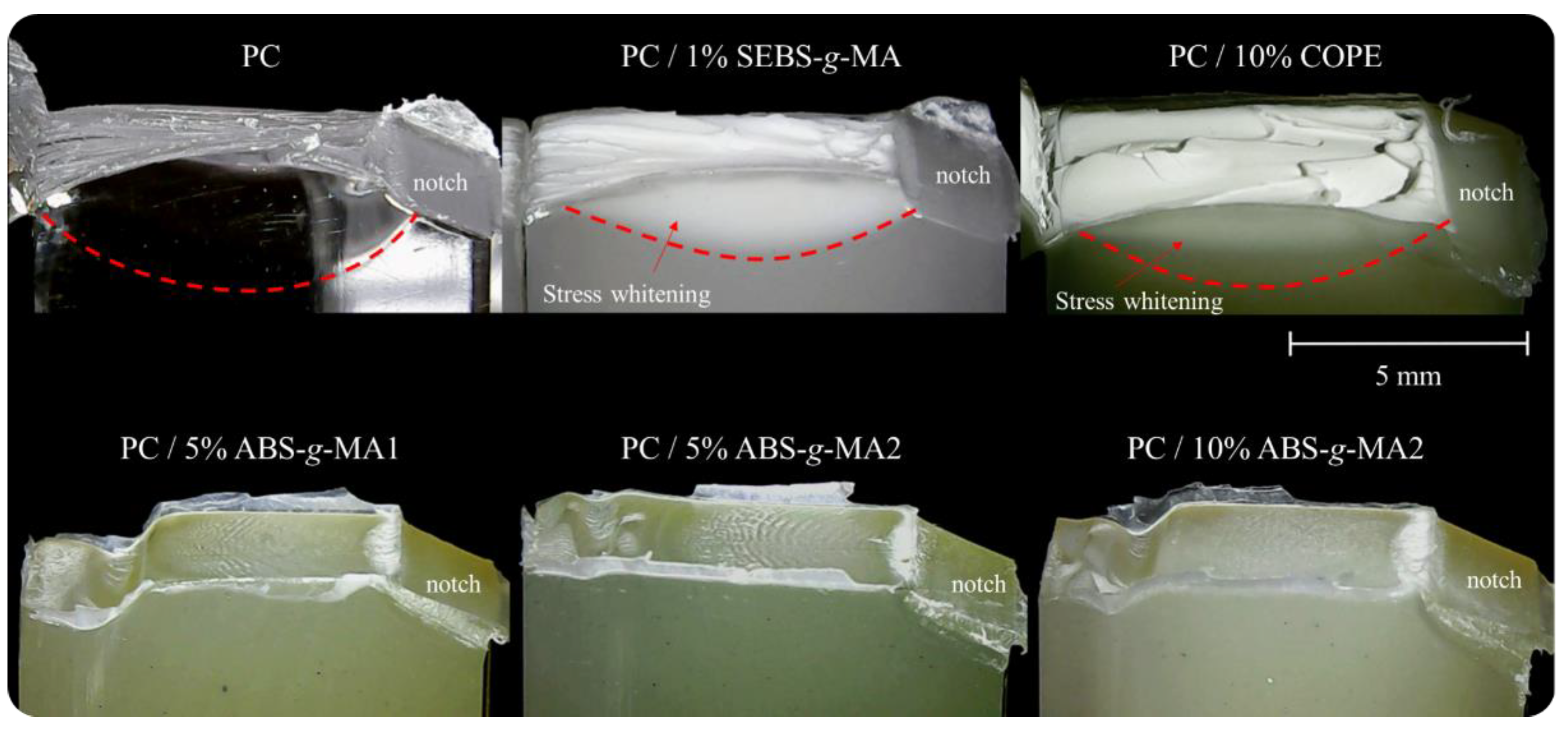 Preprints 108099 g008