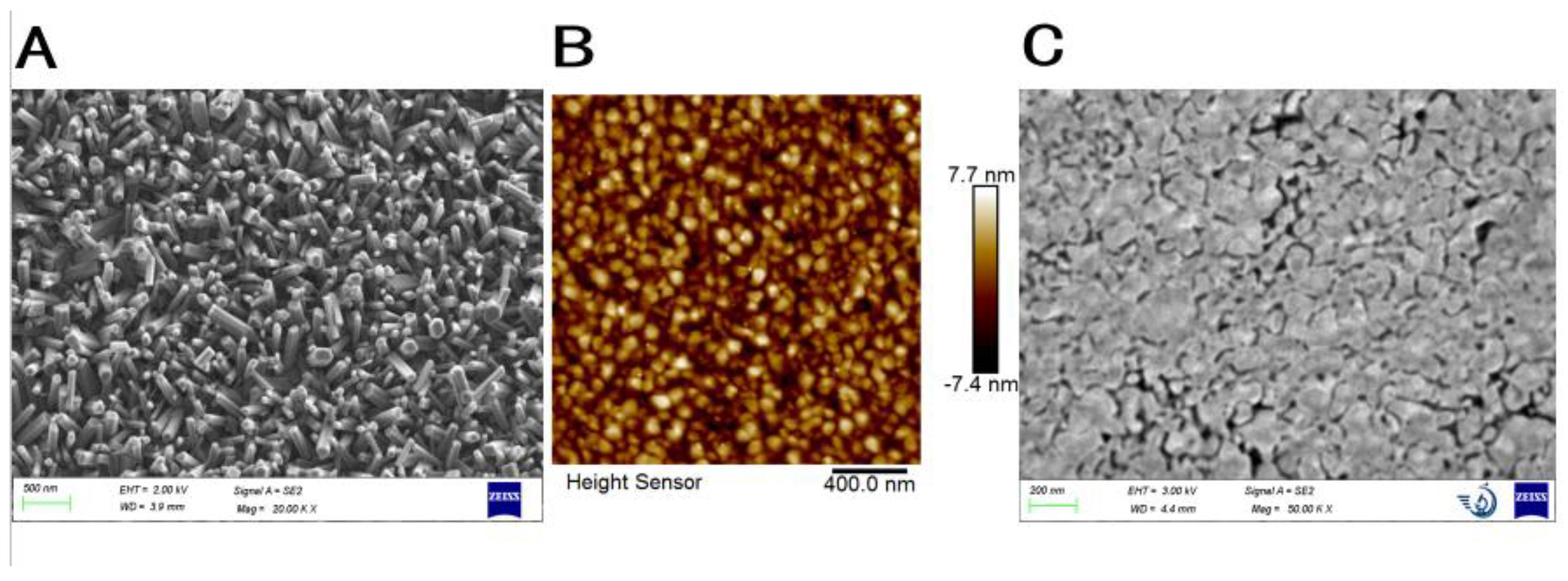 Preprints 117287 g002