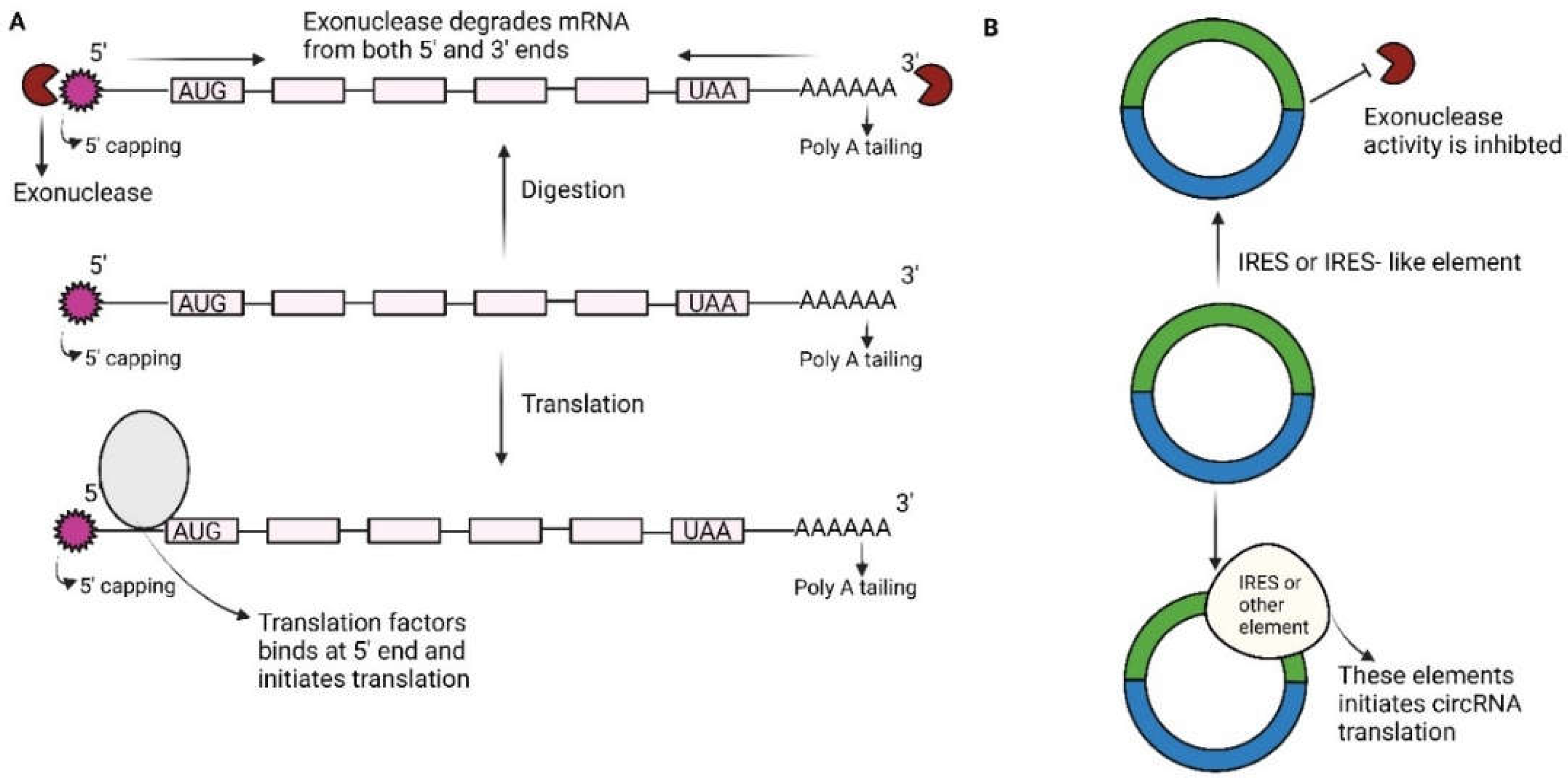 Preprints 119328 g002