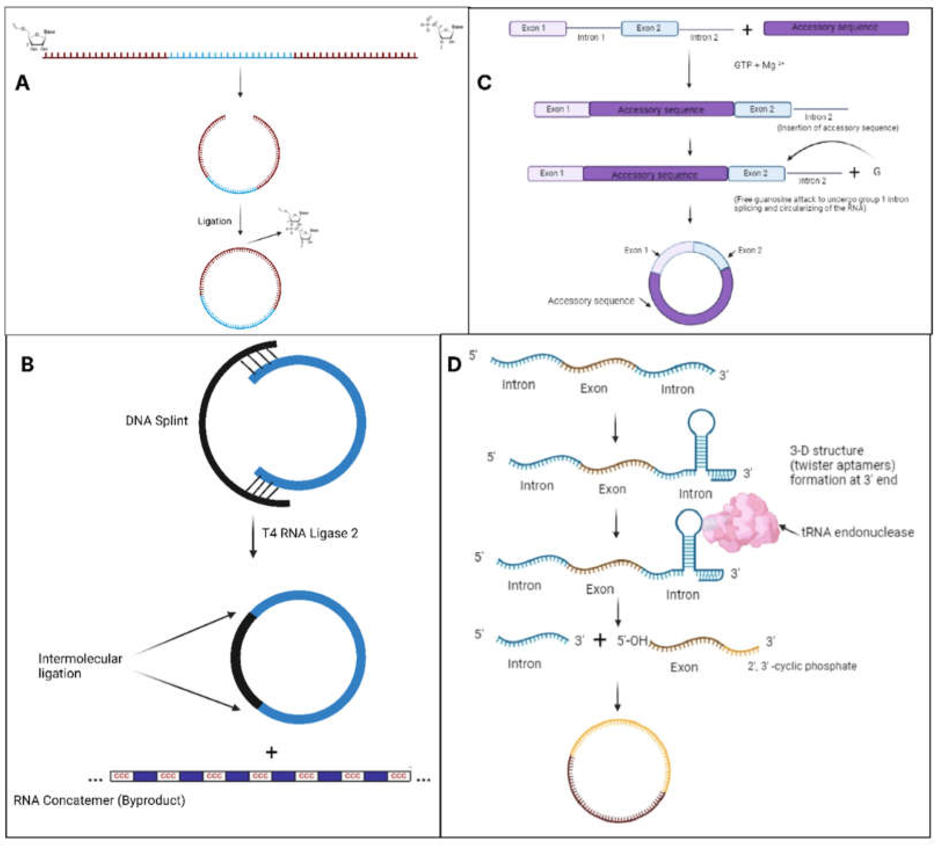 Preprints 119328 g004