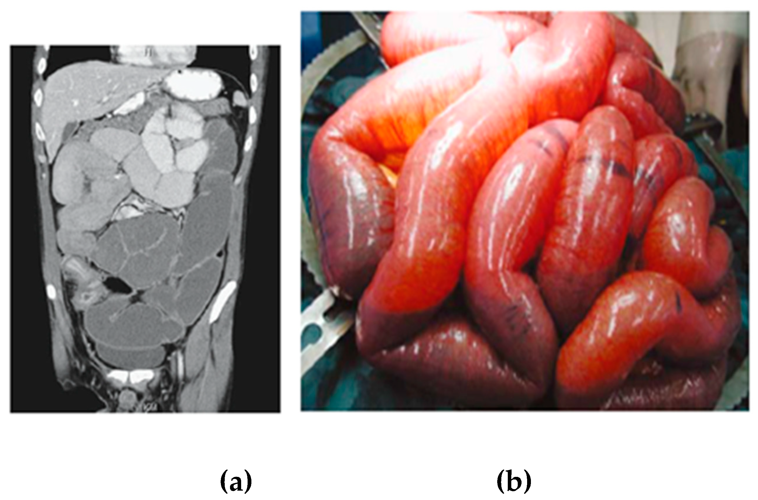 Preprints 111956 g001