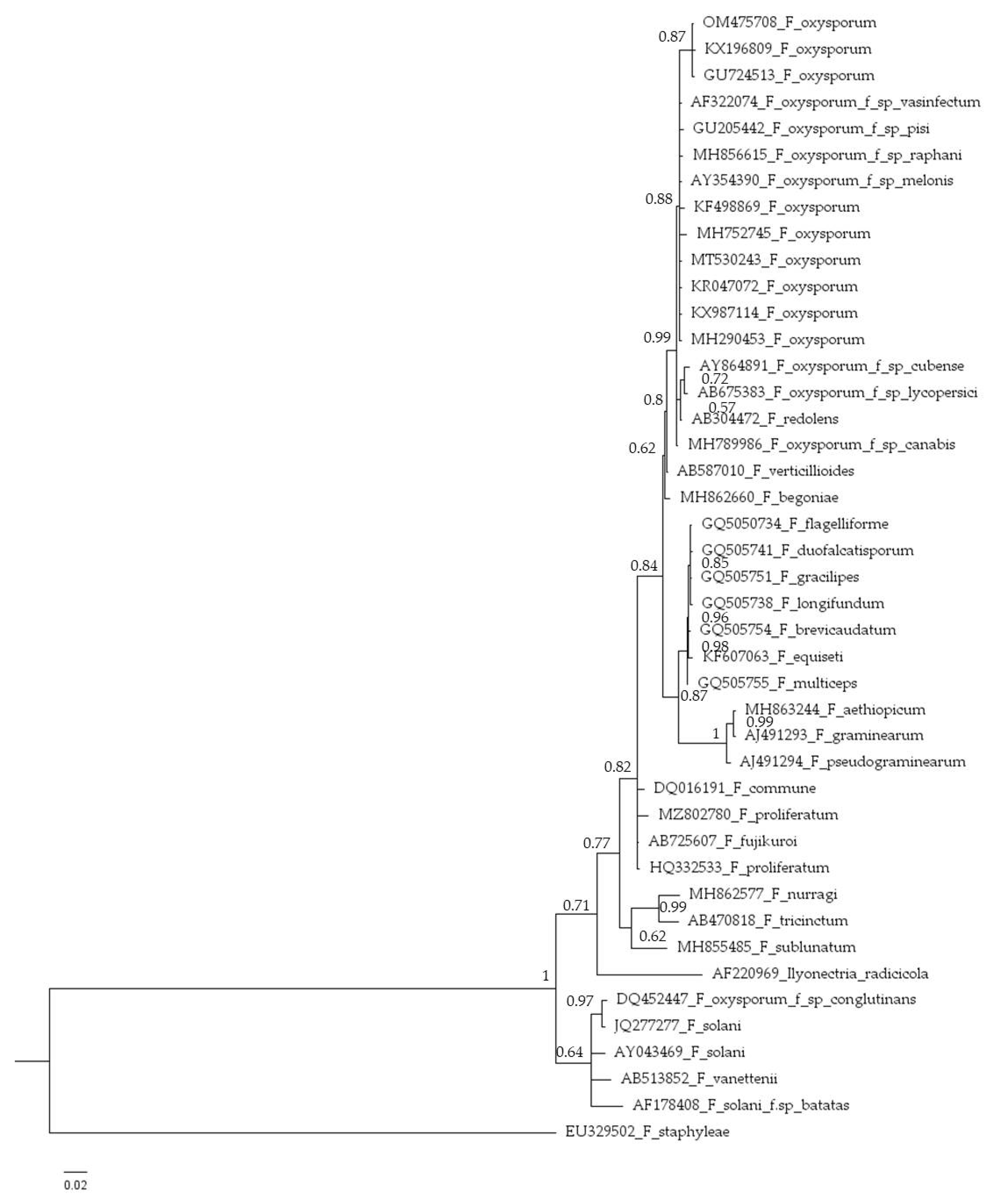 Preprints 81614 g003