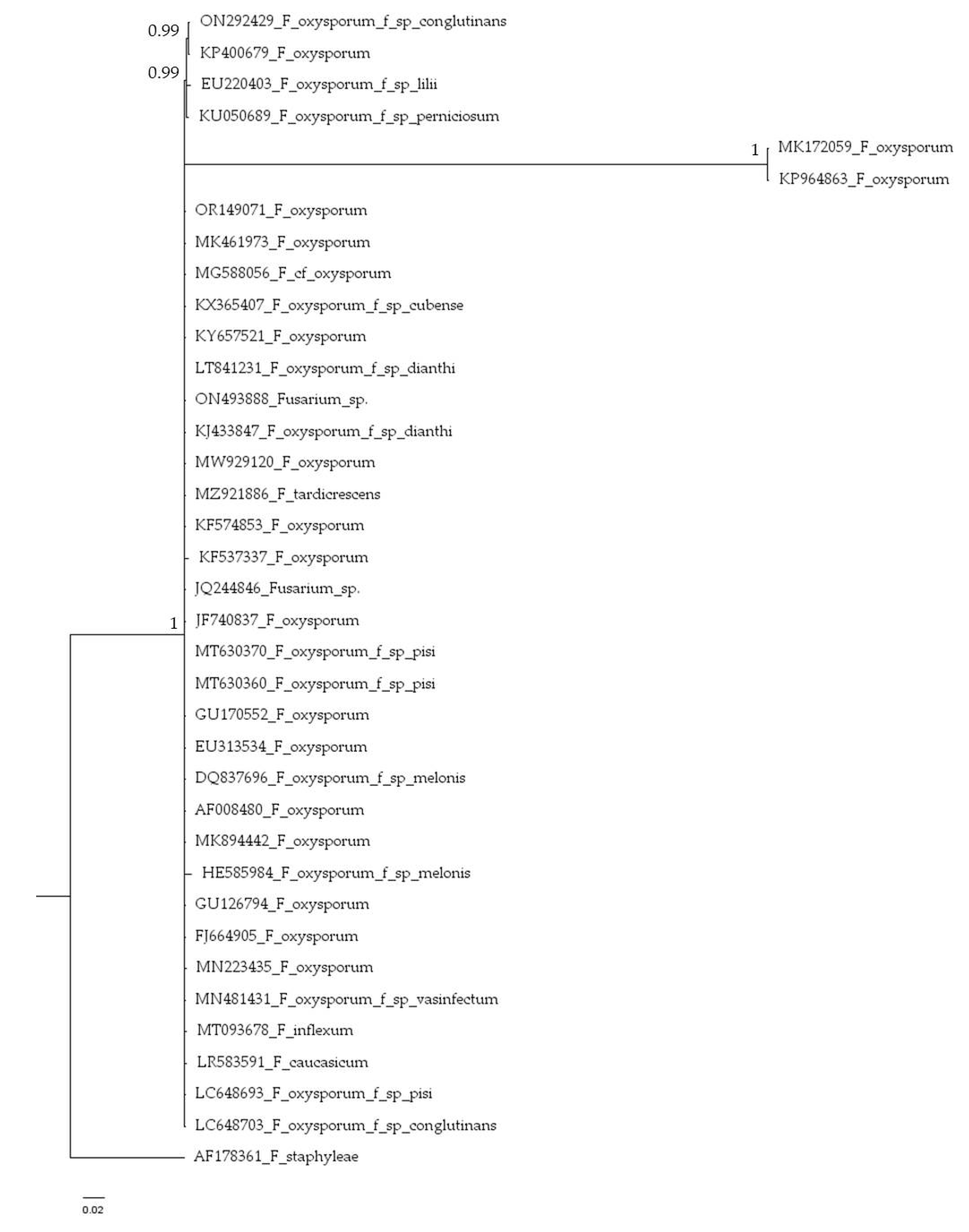 Preprints 81614 g004