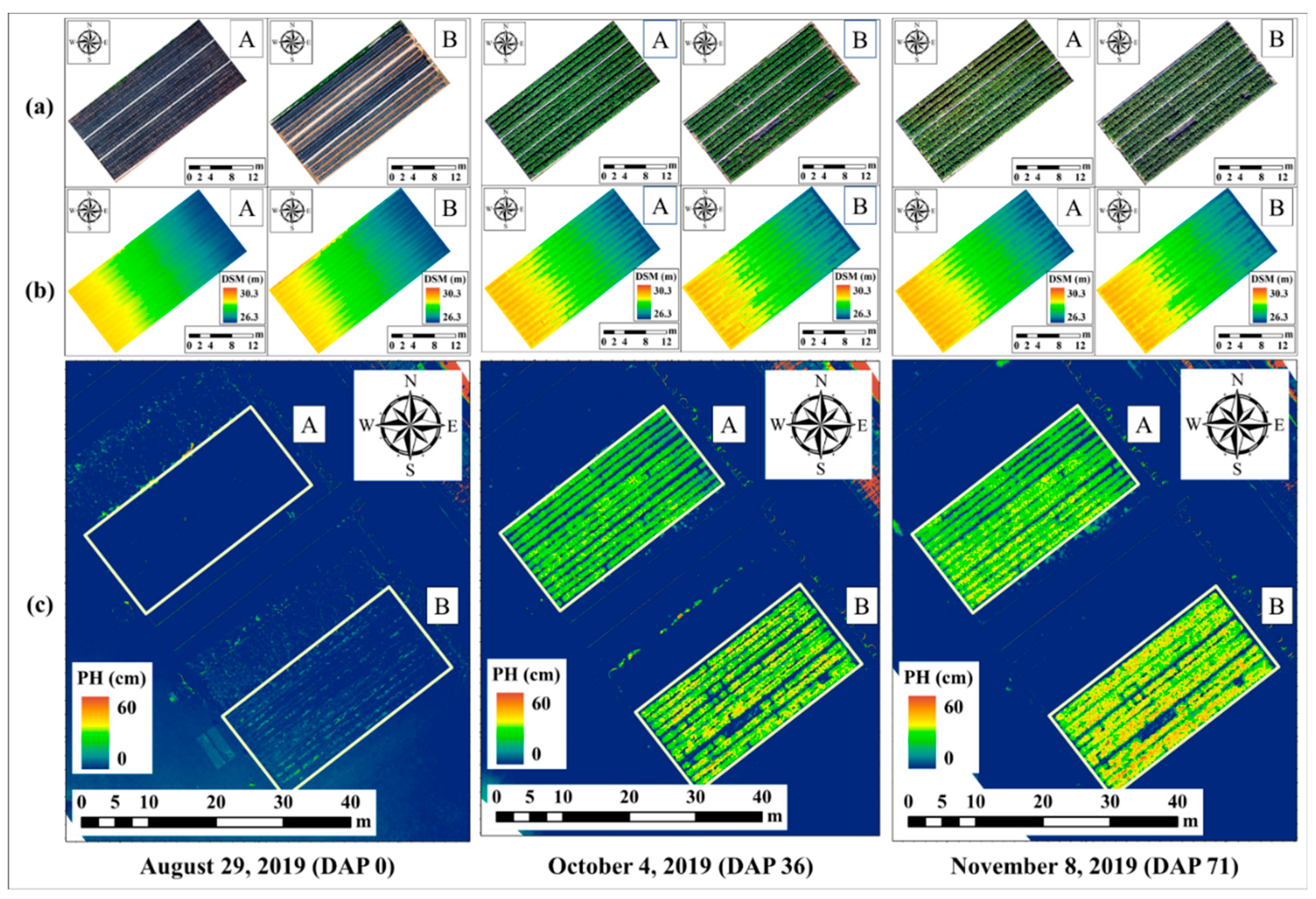 Preprints 112874 g007