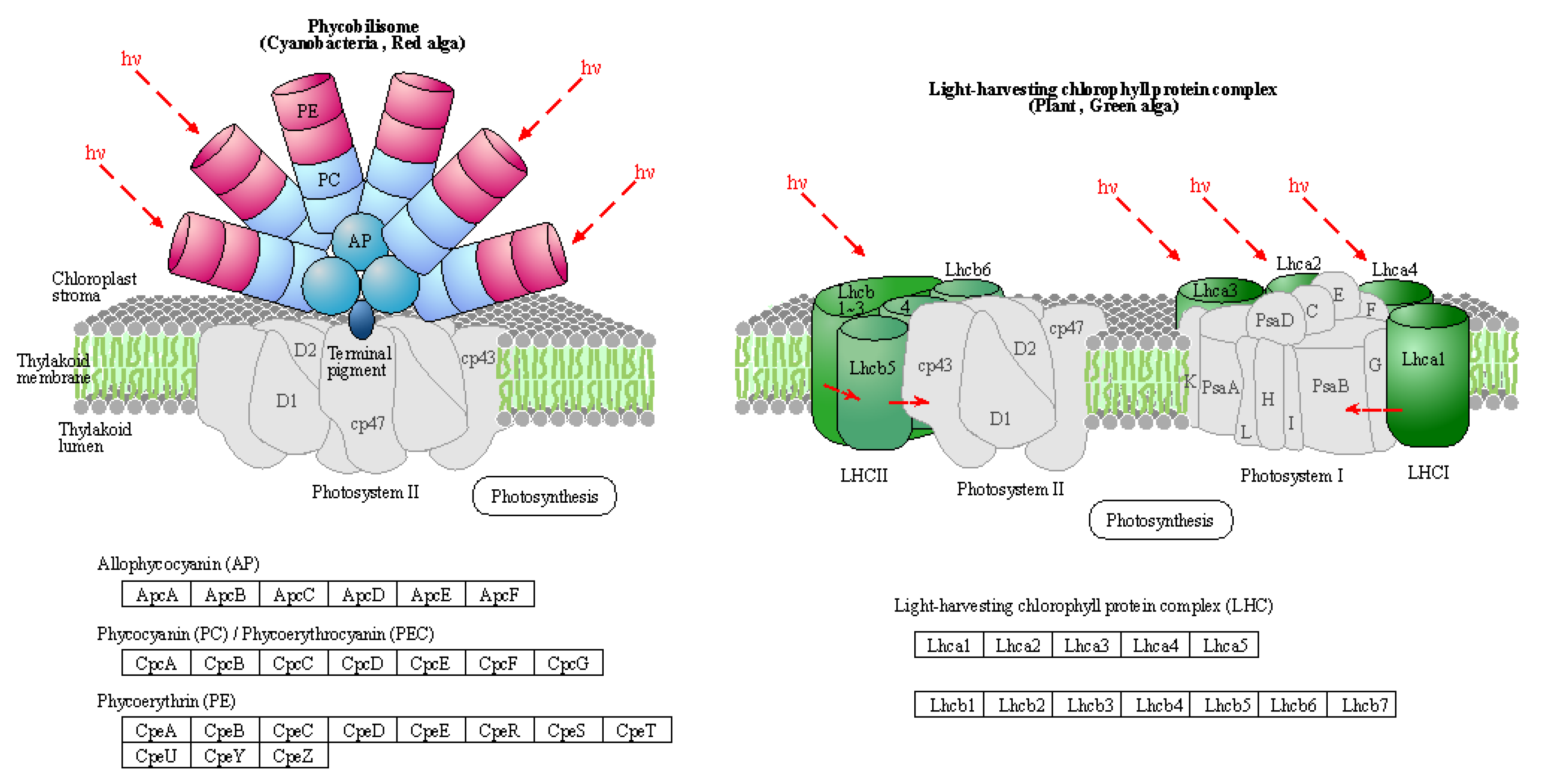 Preprints 90338 g005