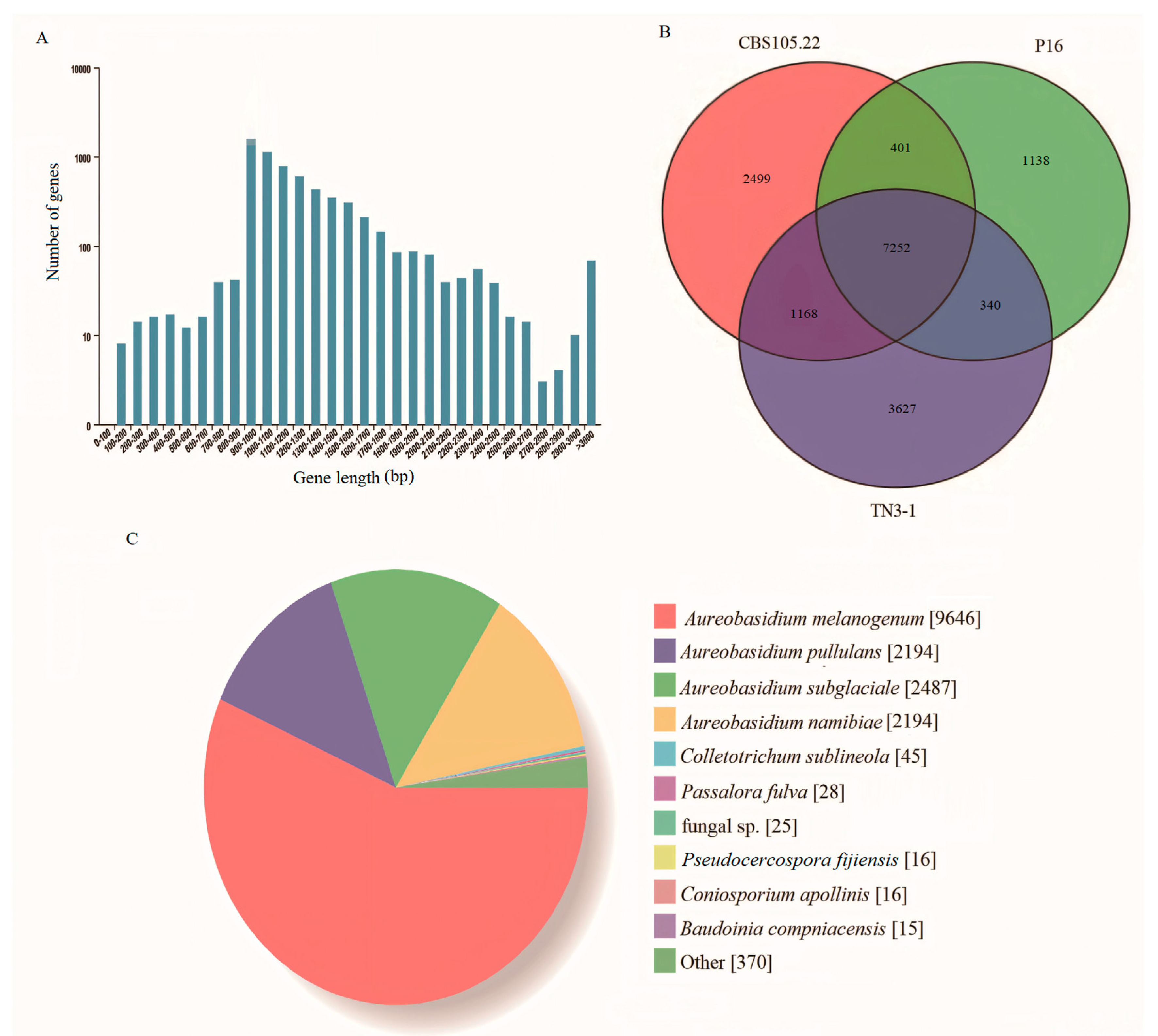 Preprints 111256 g001