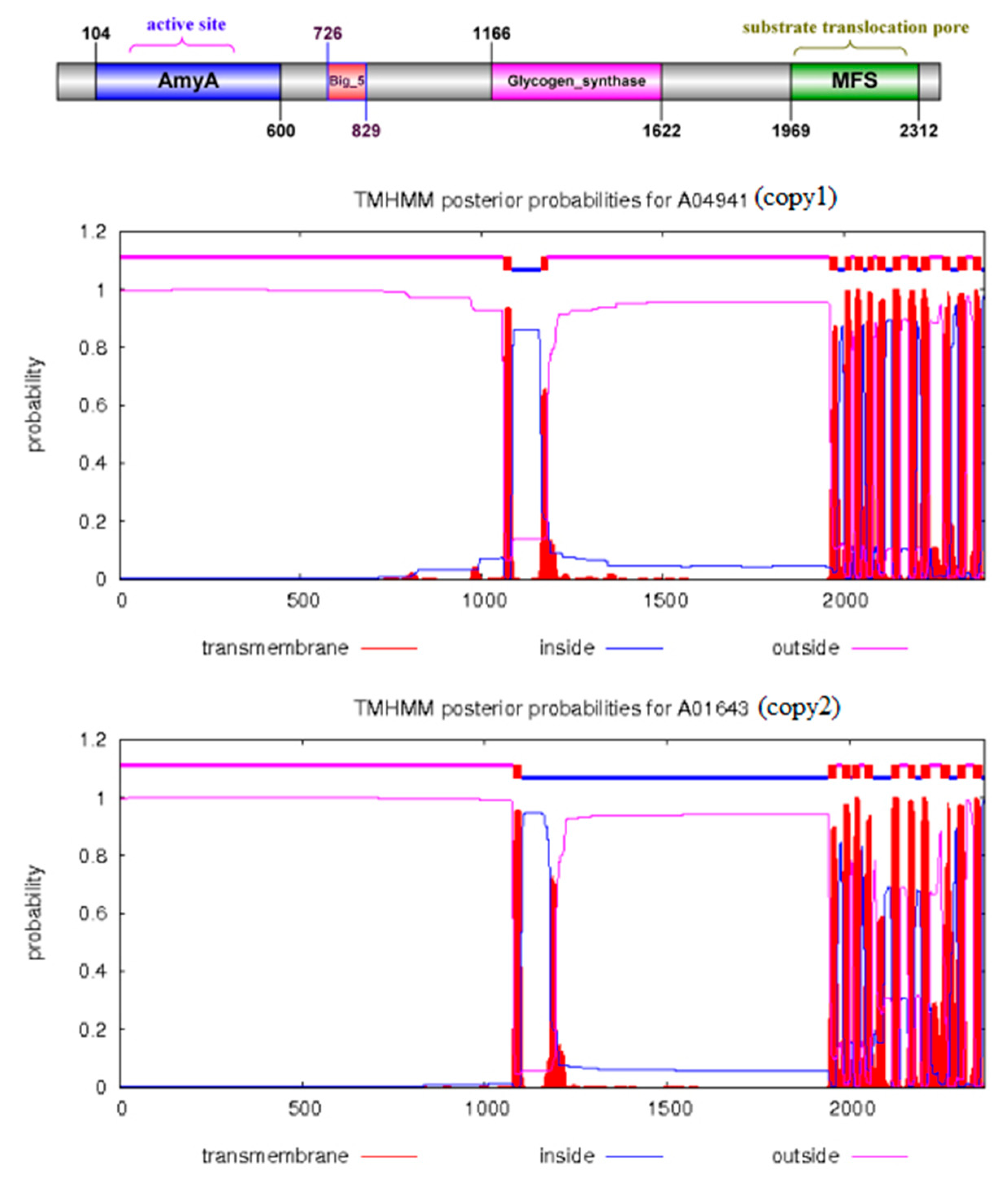 Preprints 111256 g003