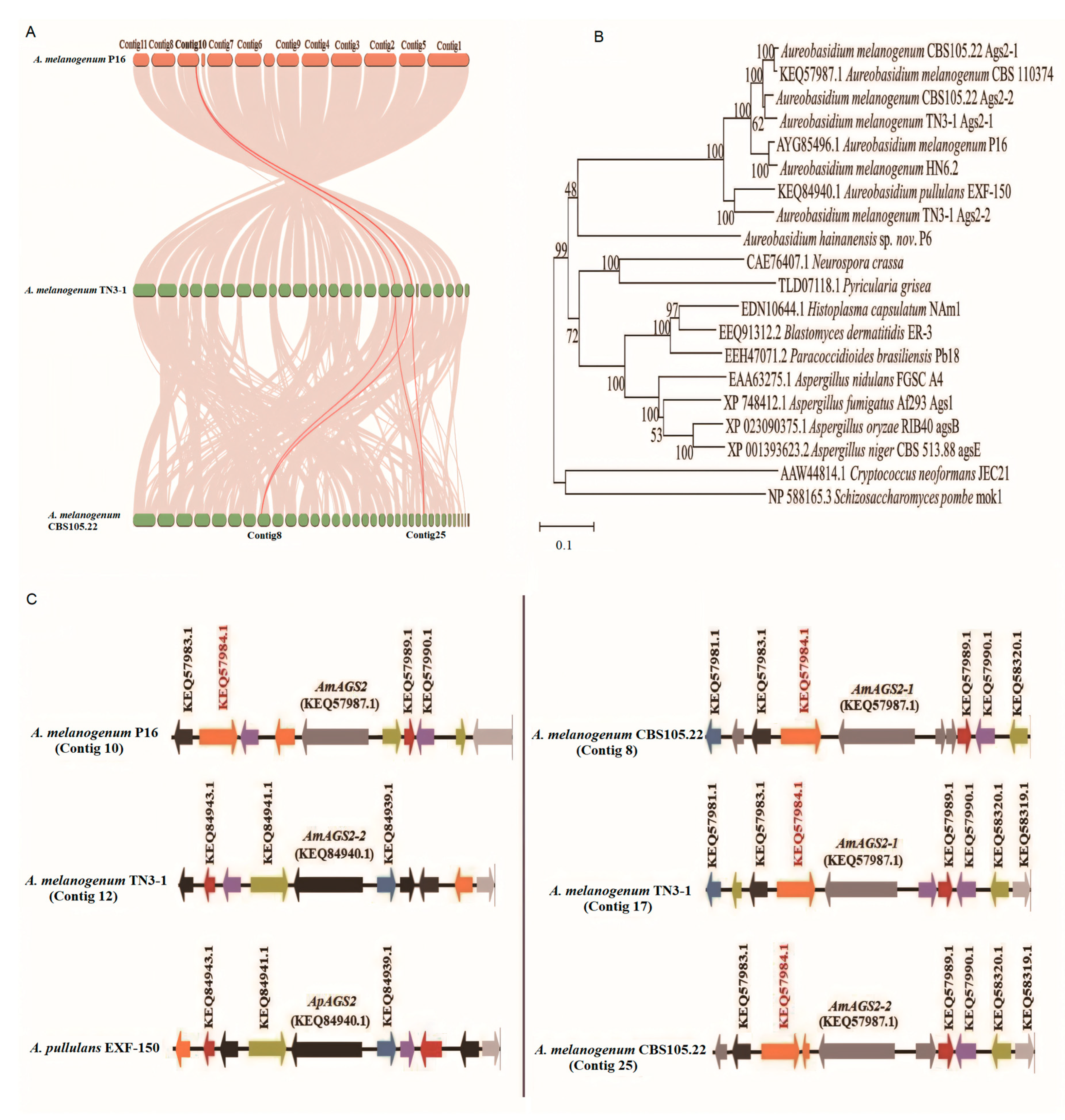 Preprints 111256 g004