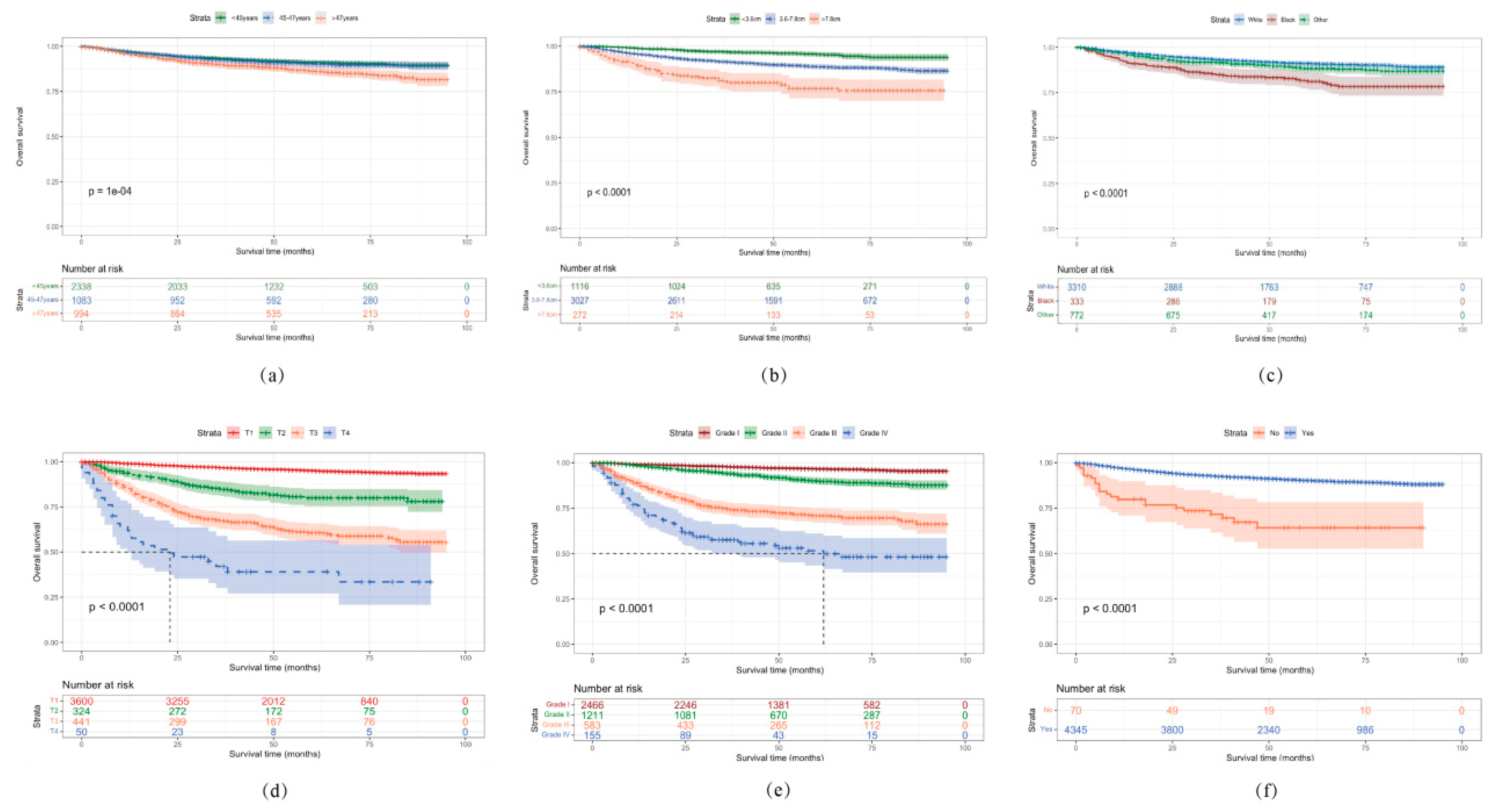 Preprints 87624 g008