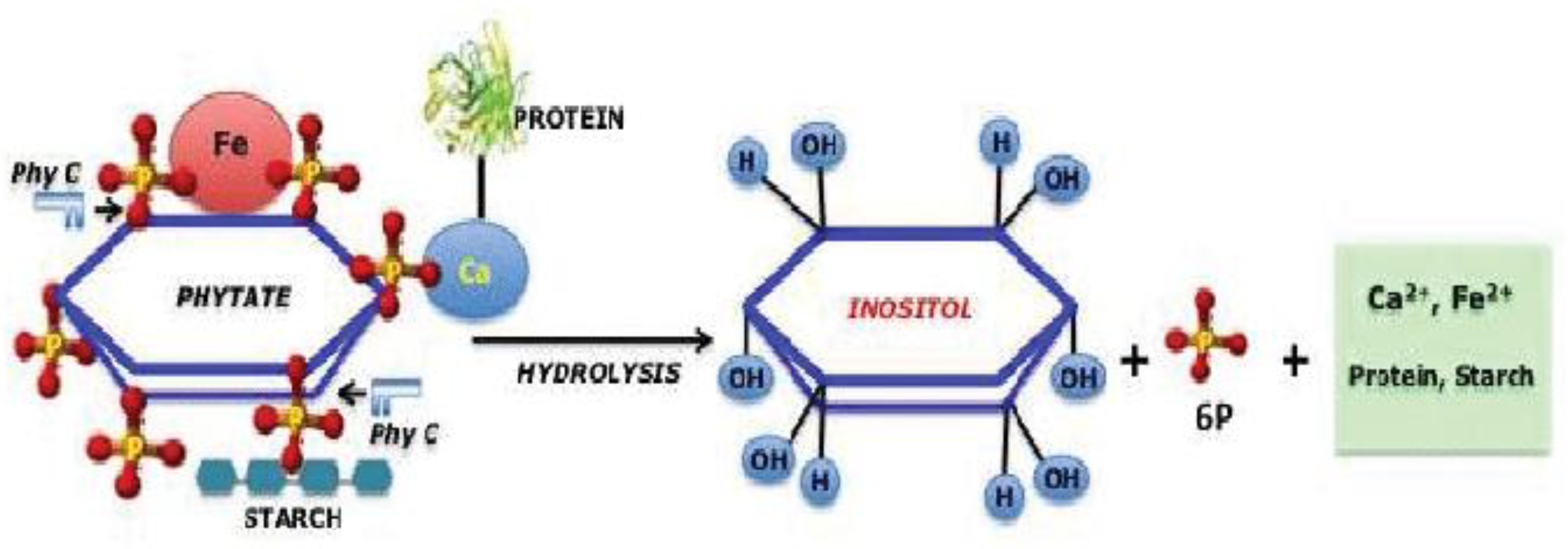 Preprints 114351 g002