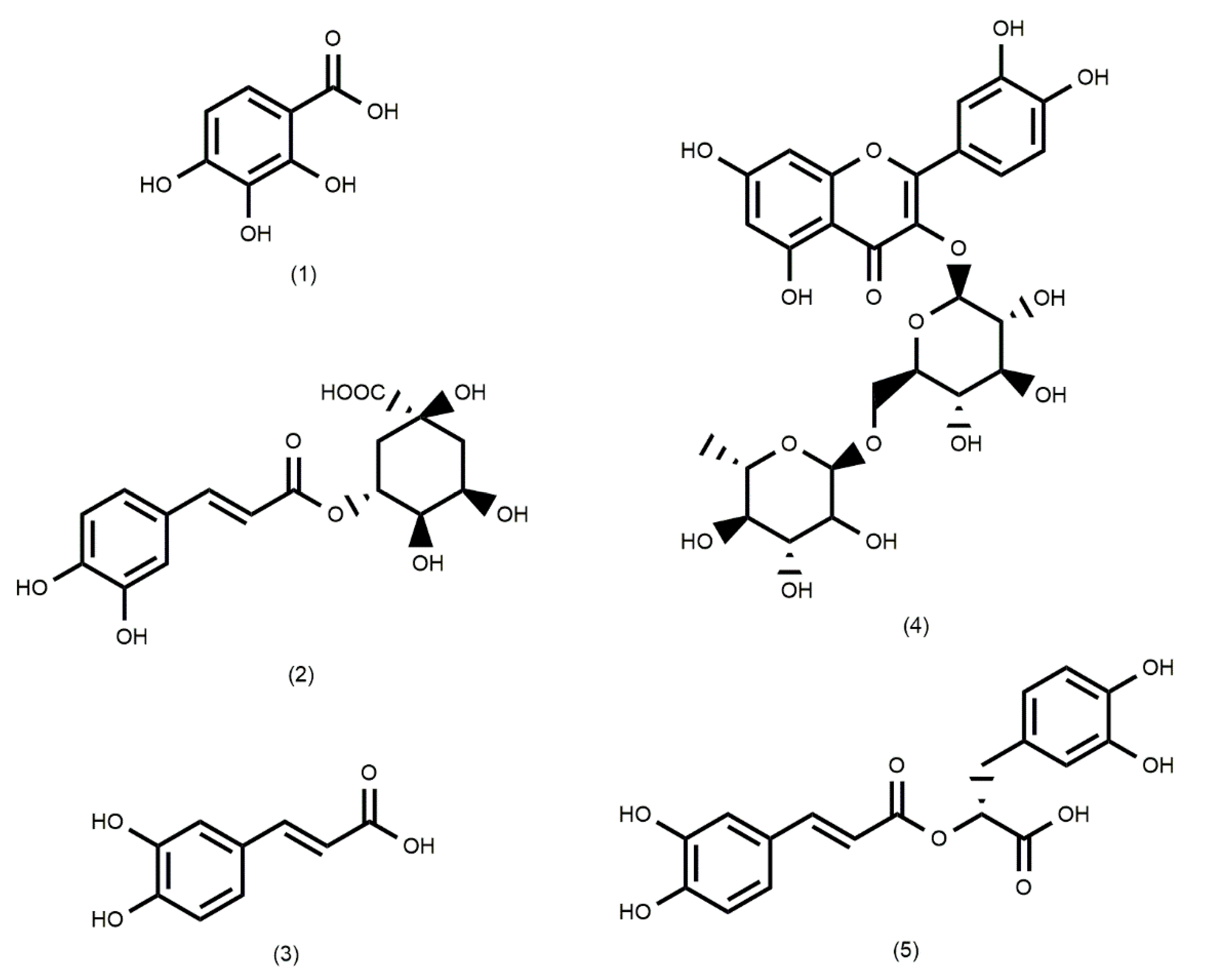 Preprints 74381 g002