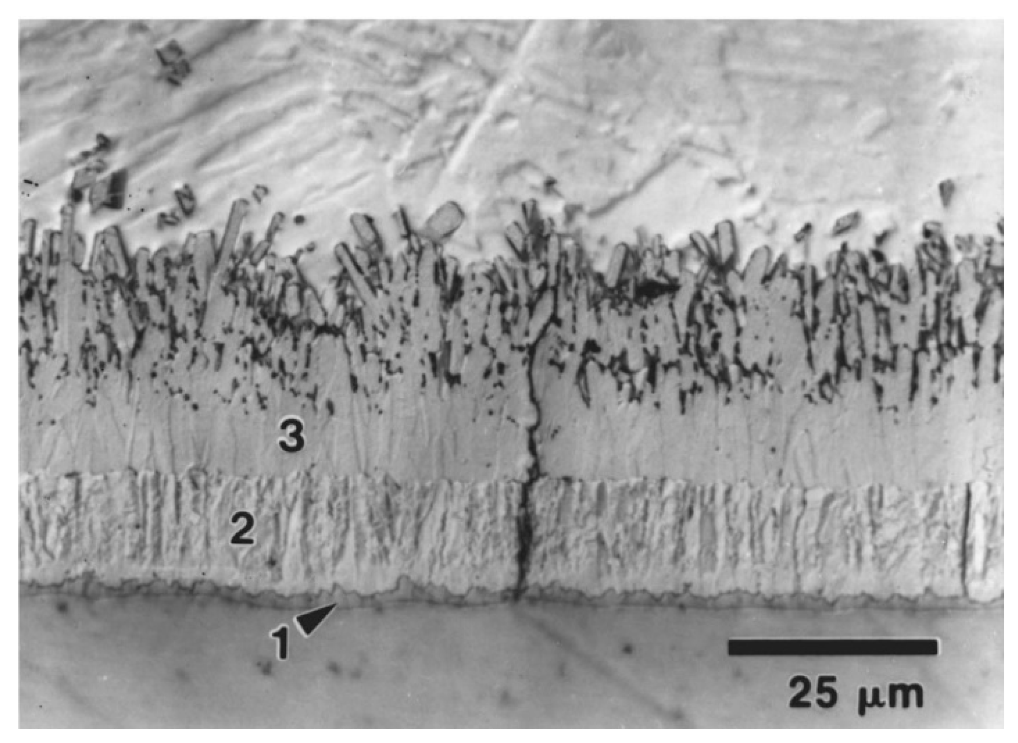 Preprints 84234 g002