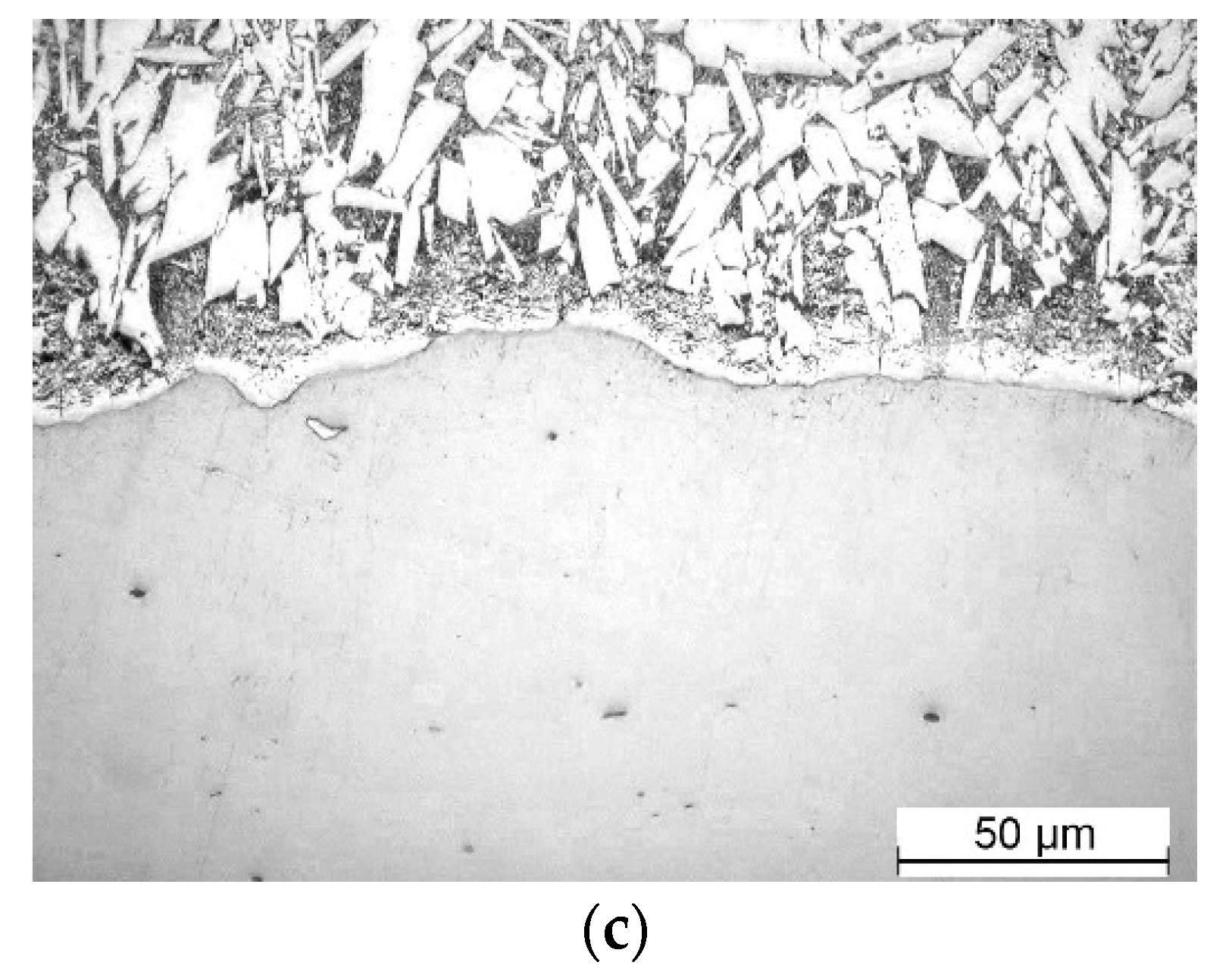 Preprints 84234 g006b