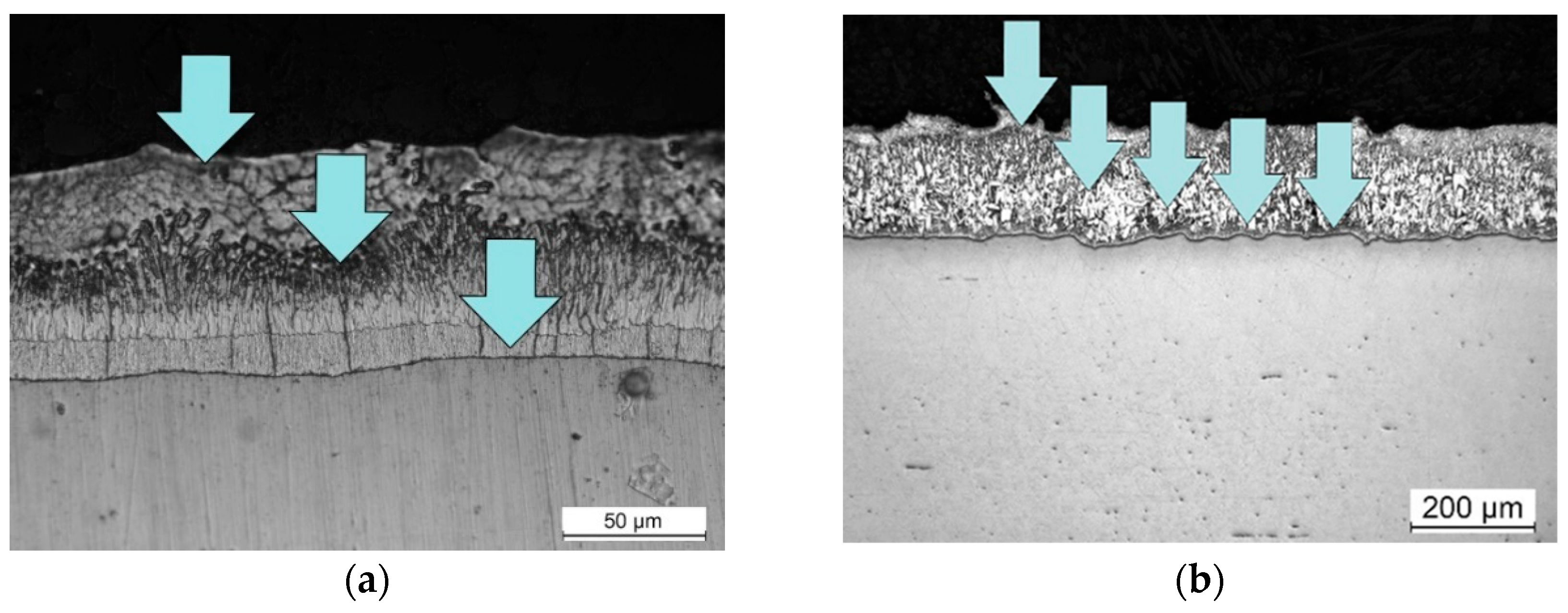 Preprints 84234 g013