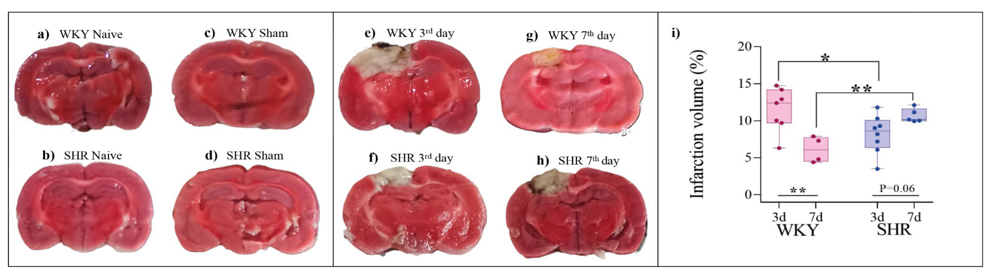 Preprints 111917 g004