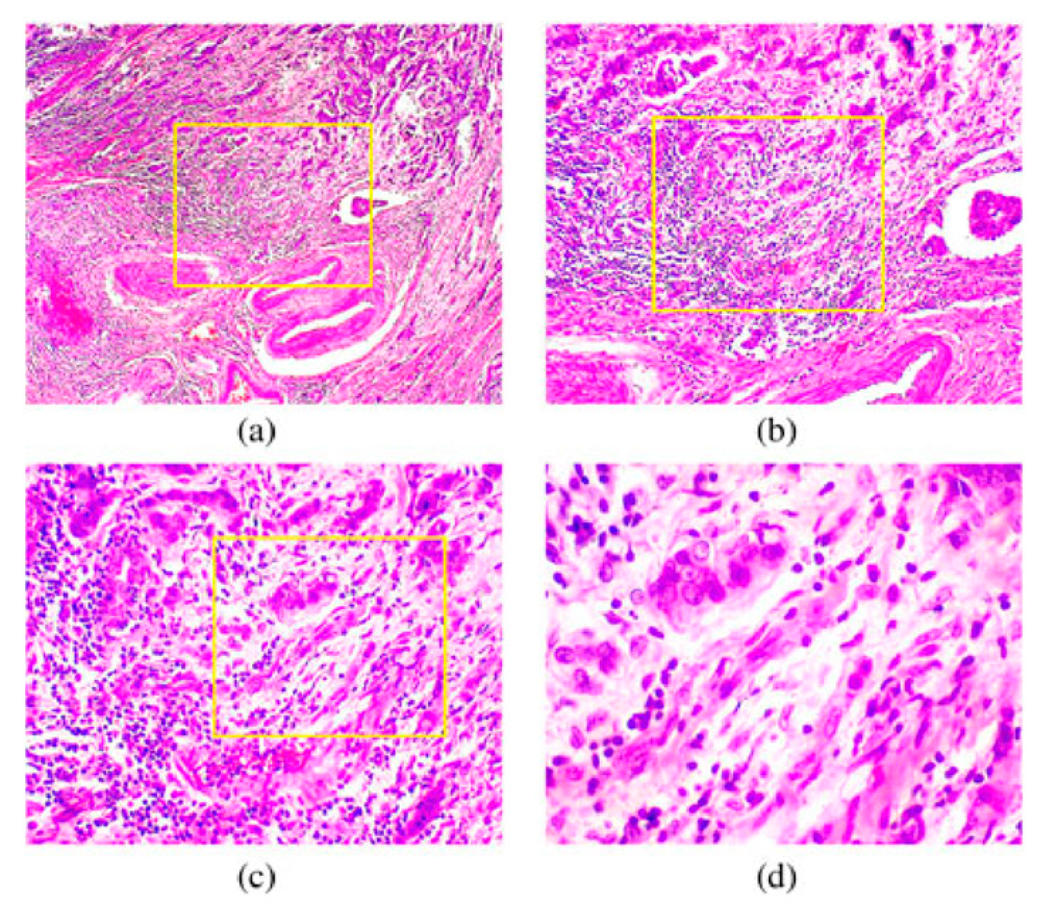 Preprints 86197 g003