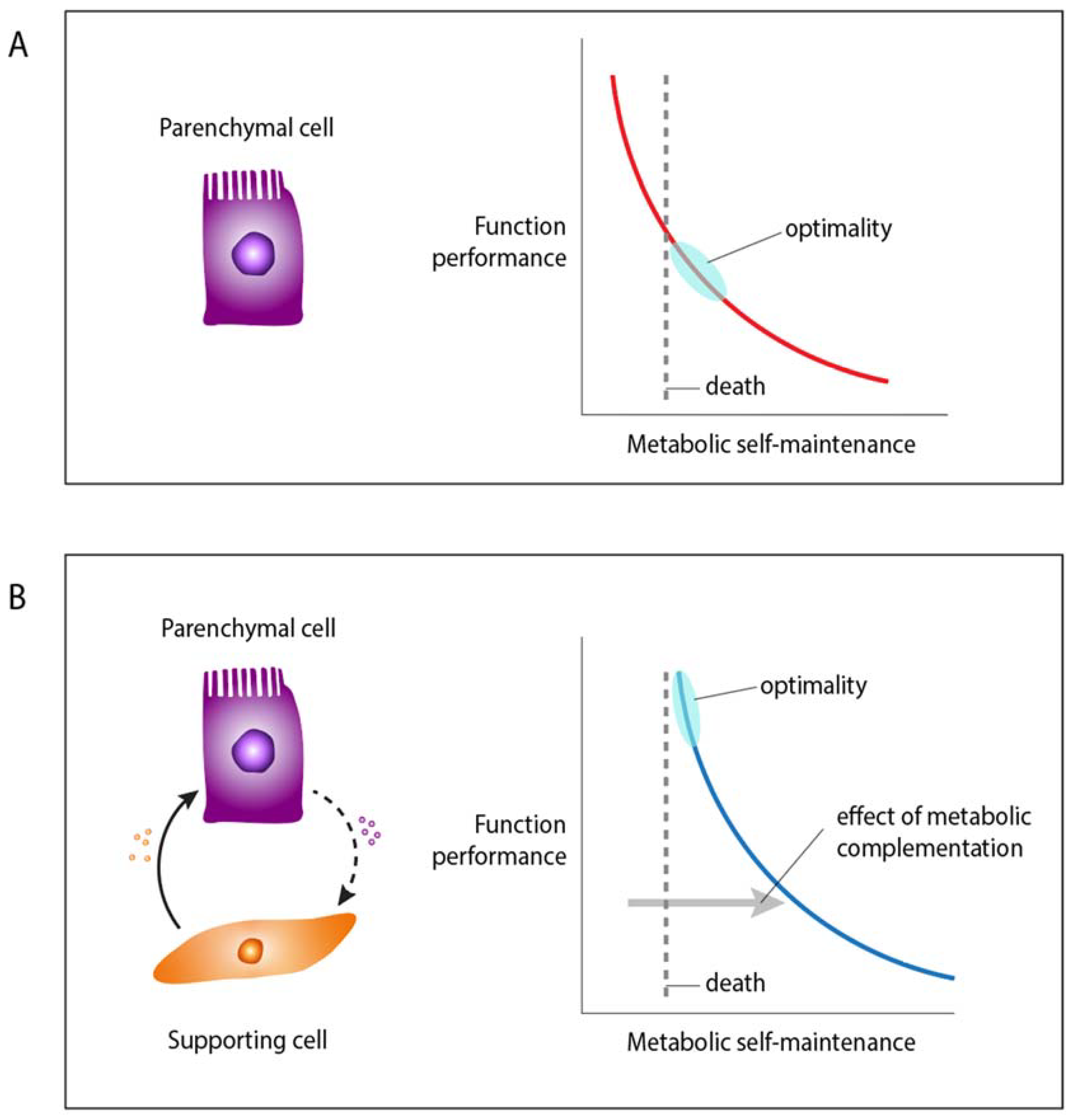 Preprints 116106 g001