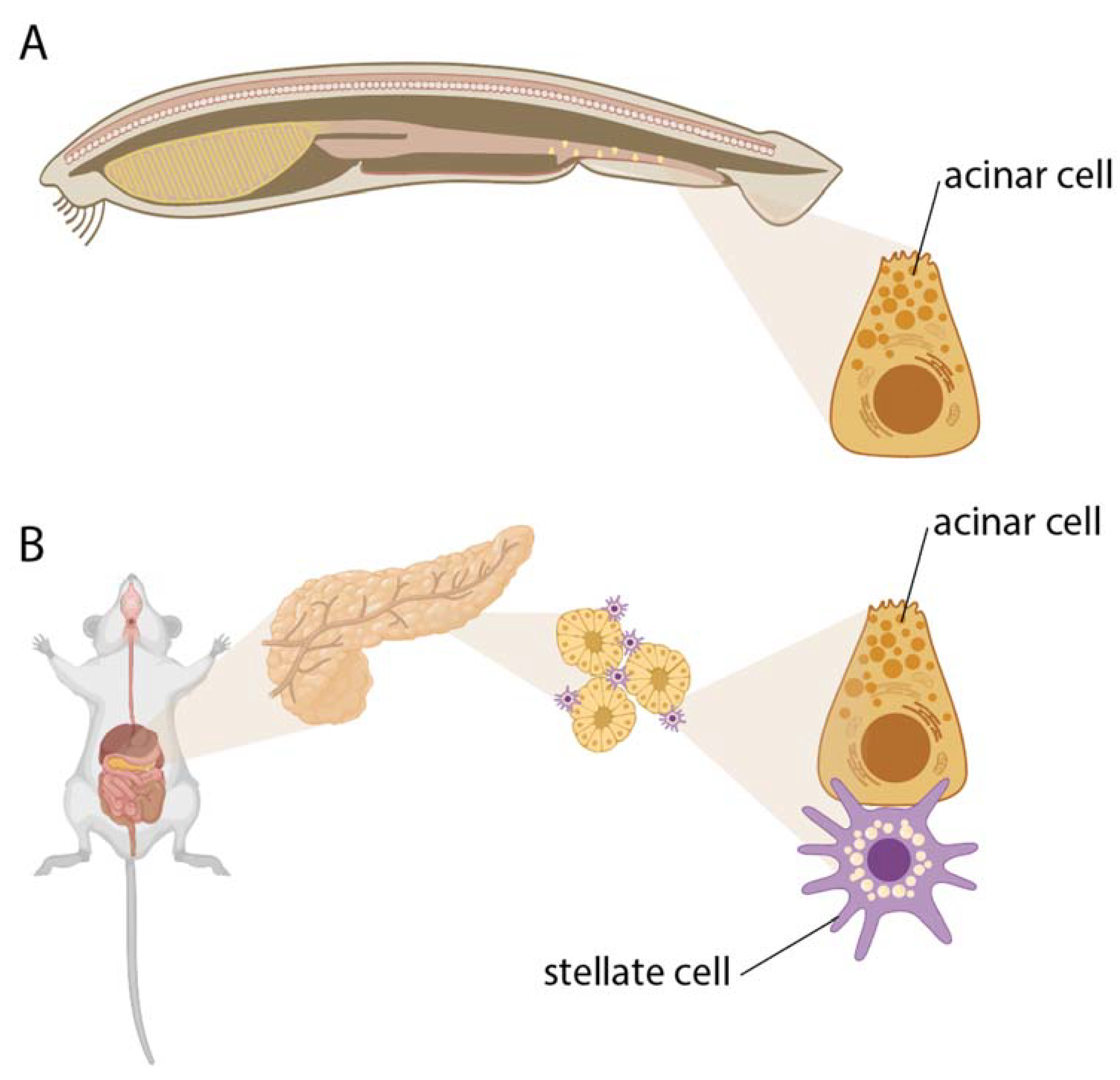 Preprints 116106 g002