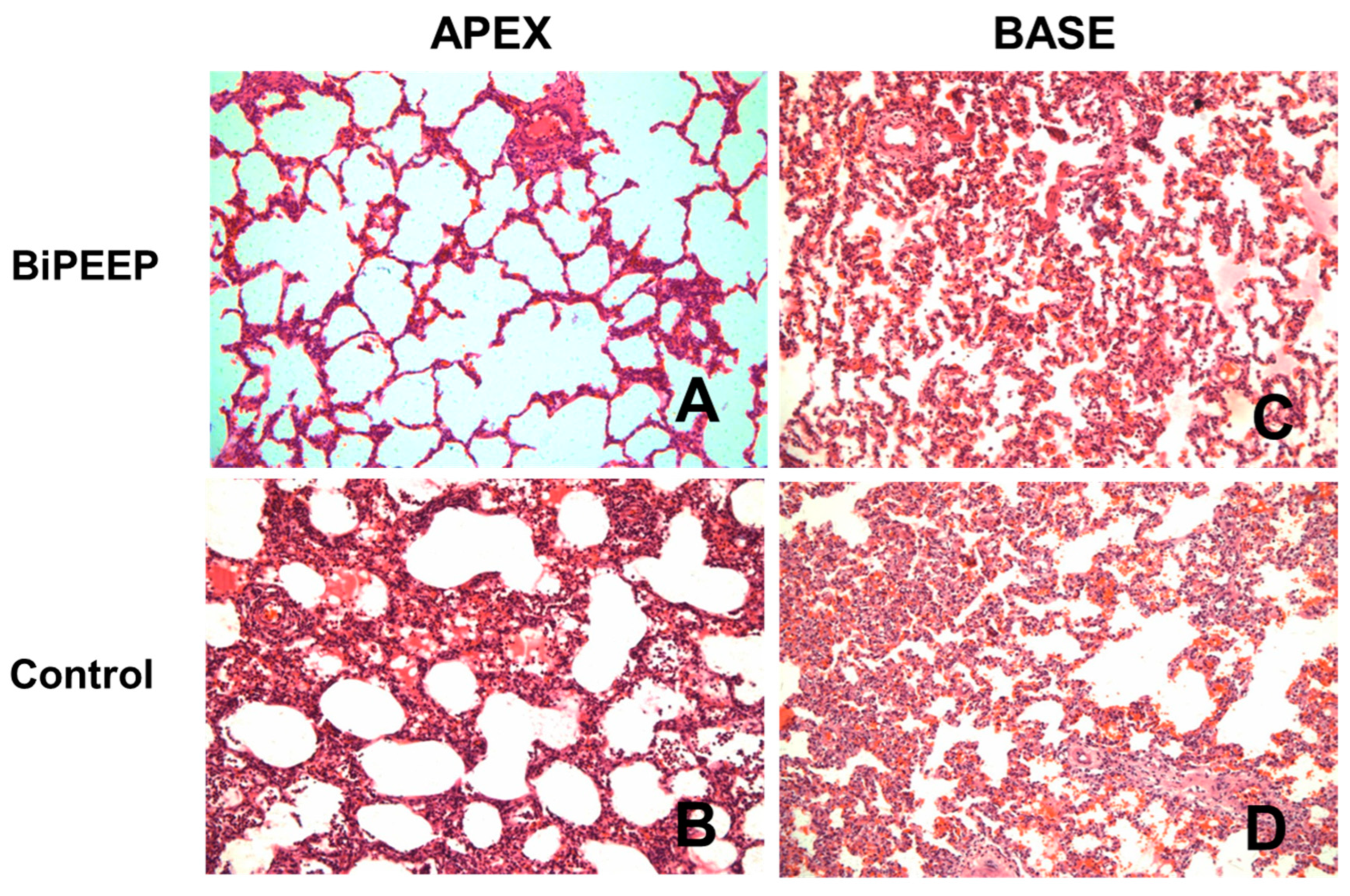 Preprints 77596 g004