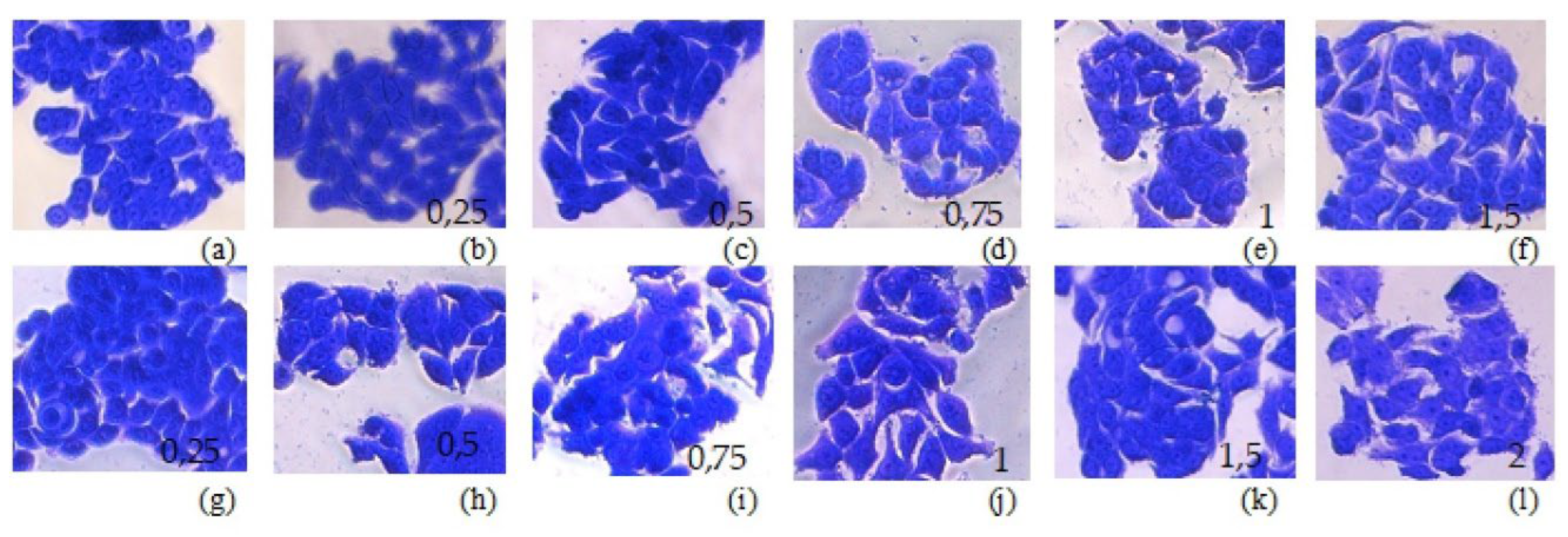 Preprints 102655 g003