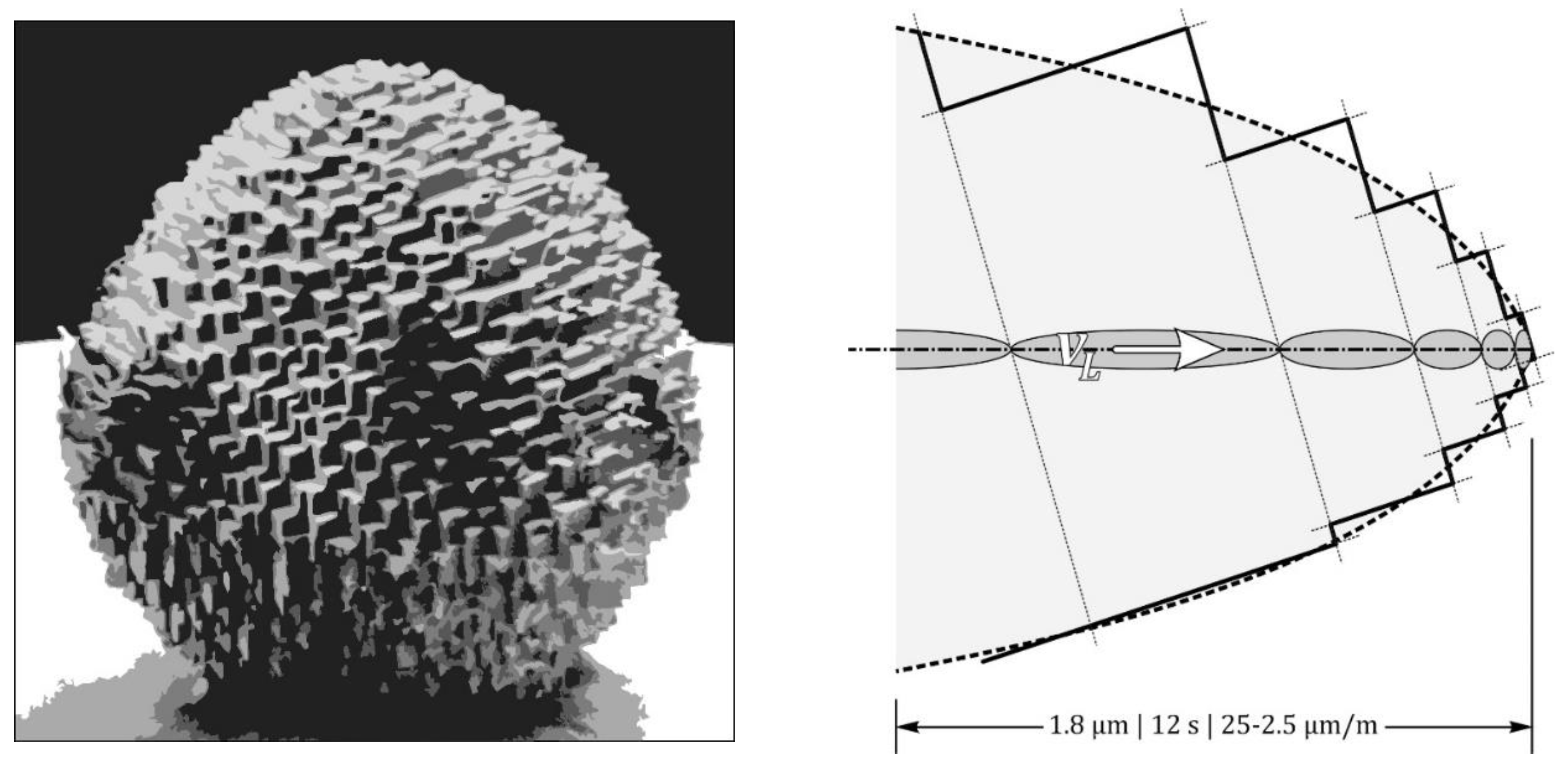 Preprints 117555 g002